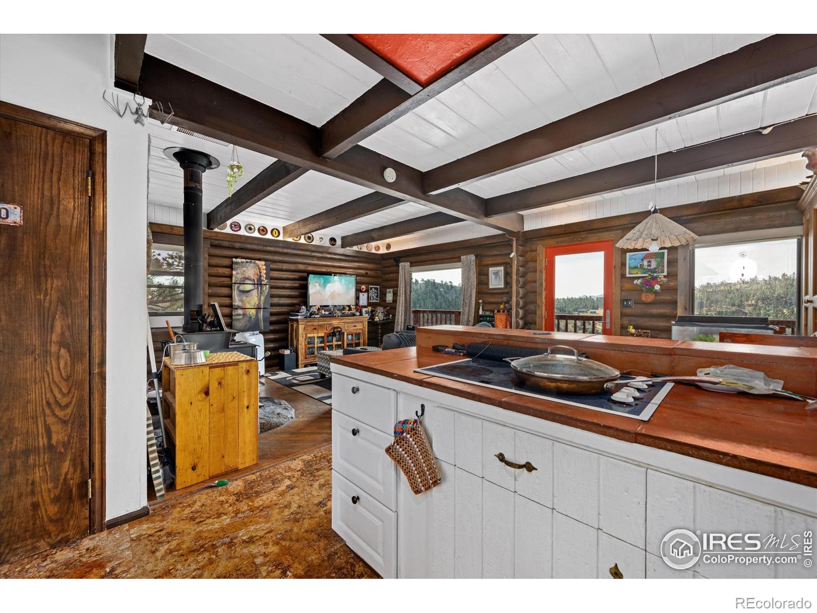 MLS Image #10 for 23 e quandary court,livermore, Colorado