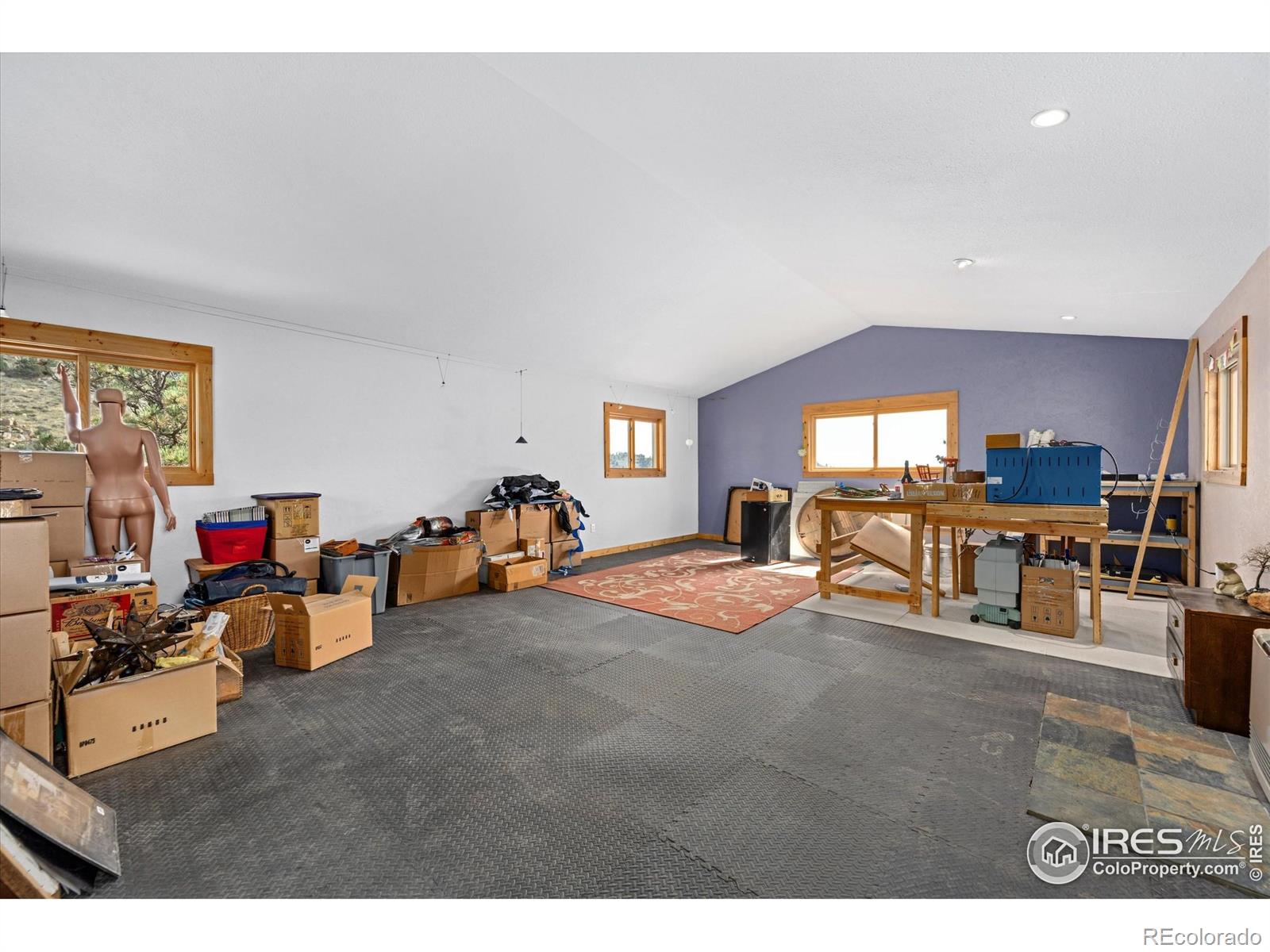 MLS Image #23 for 23 e quandary court,livermore, Colorado