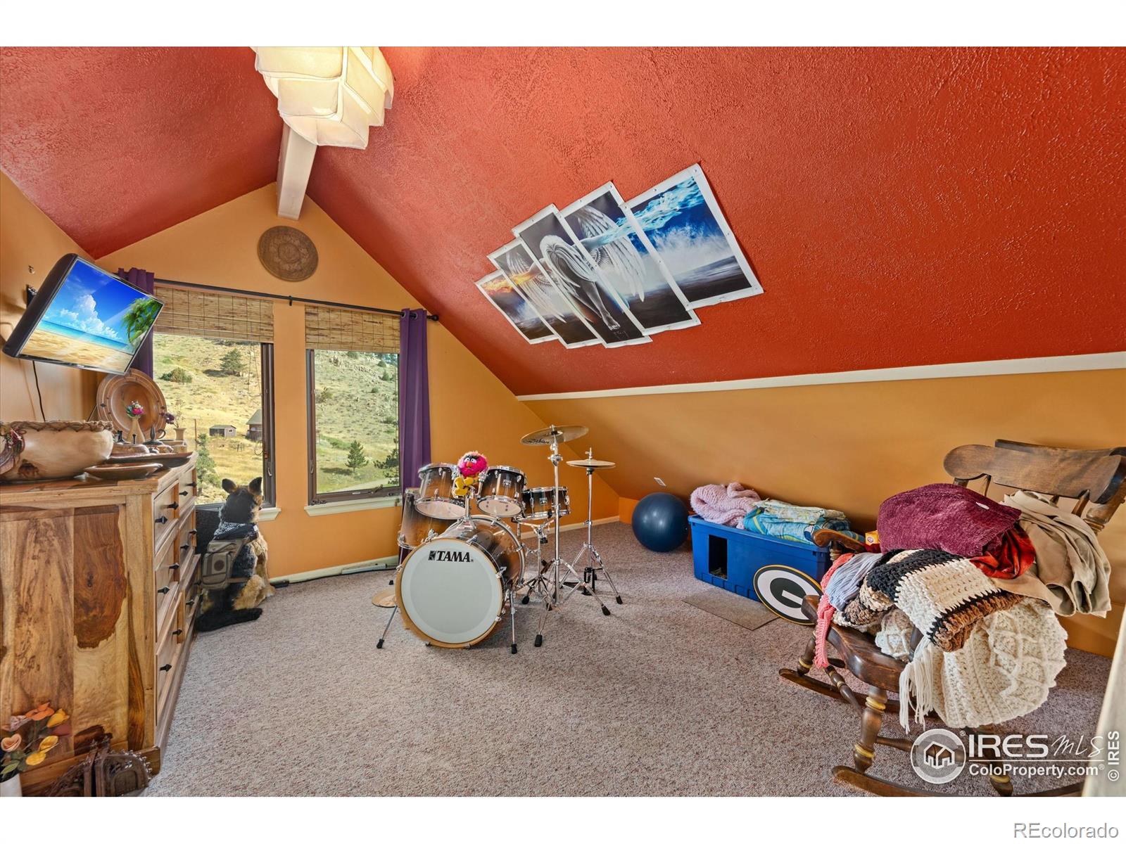 MLS Image #4 for 23 e quandary court,livermore, Colorado