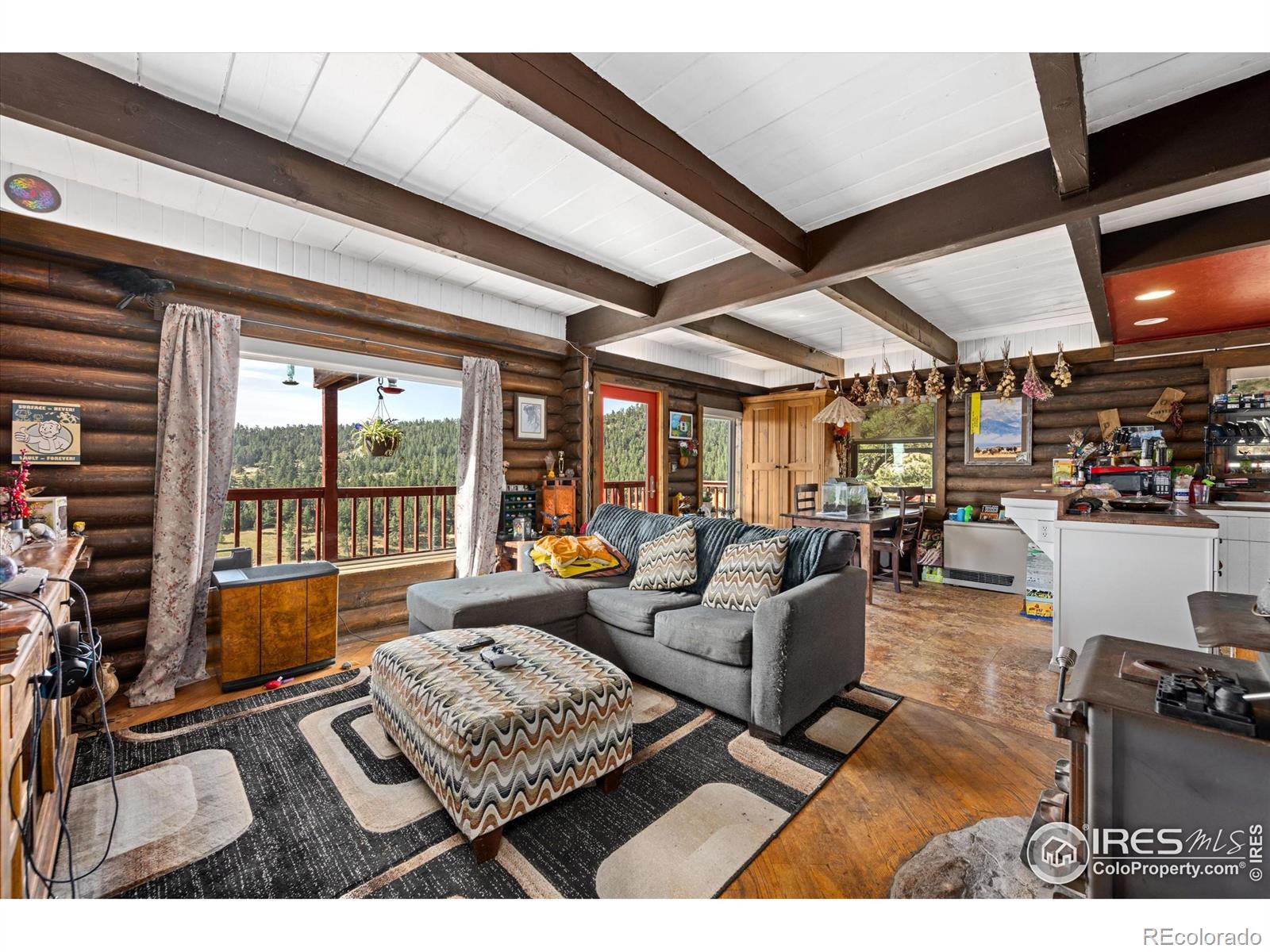 MLS Image #6 for 23 e quandary court,livermore, Colorado