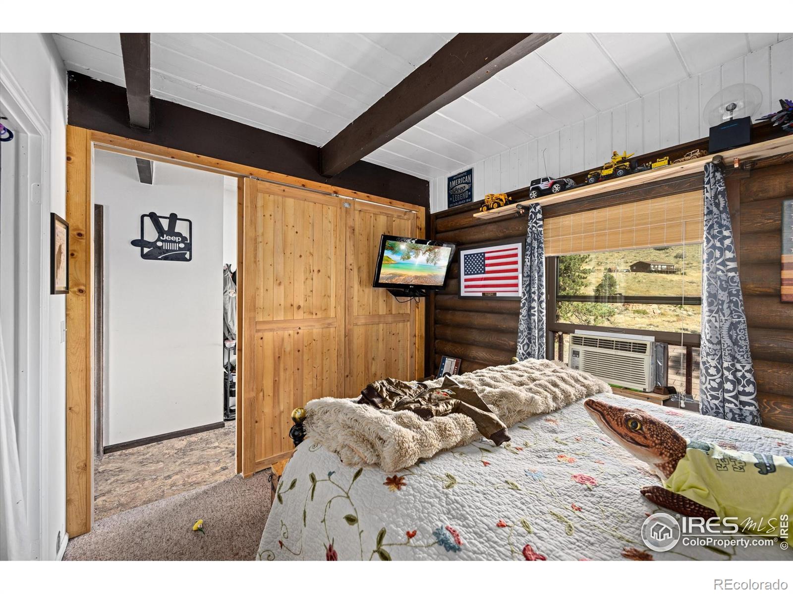 MLS Image #9 for 23 e quandary court,livermore, Colorado