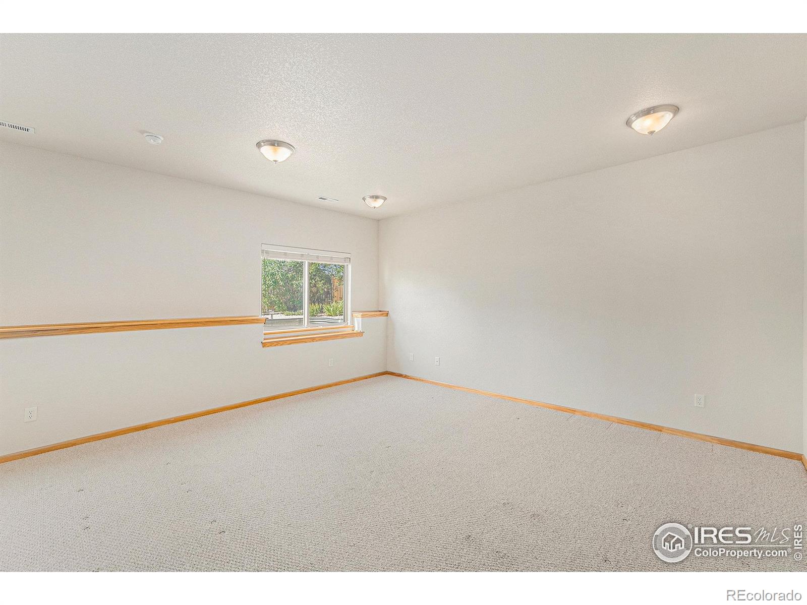 MLS Image #11 for 3872  higgins street,loveland, Colorado