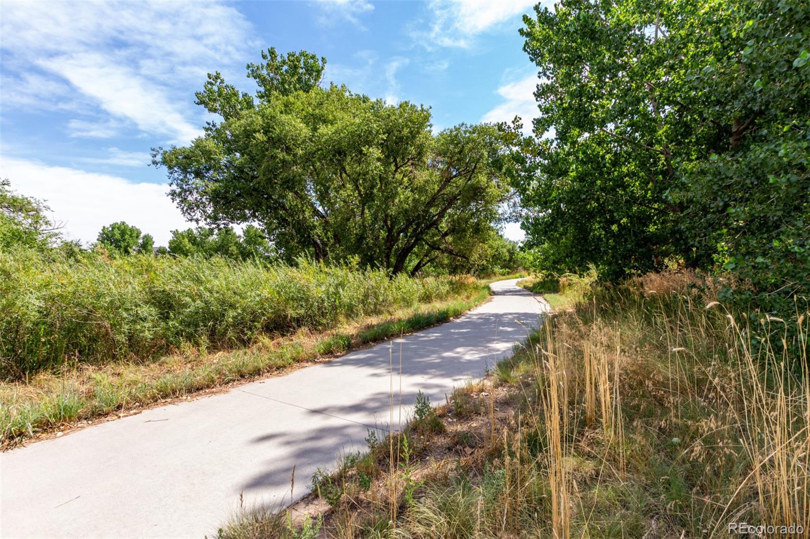 MLS Image #18 for 18703 e 54th avenue,denver, Colorado