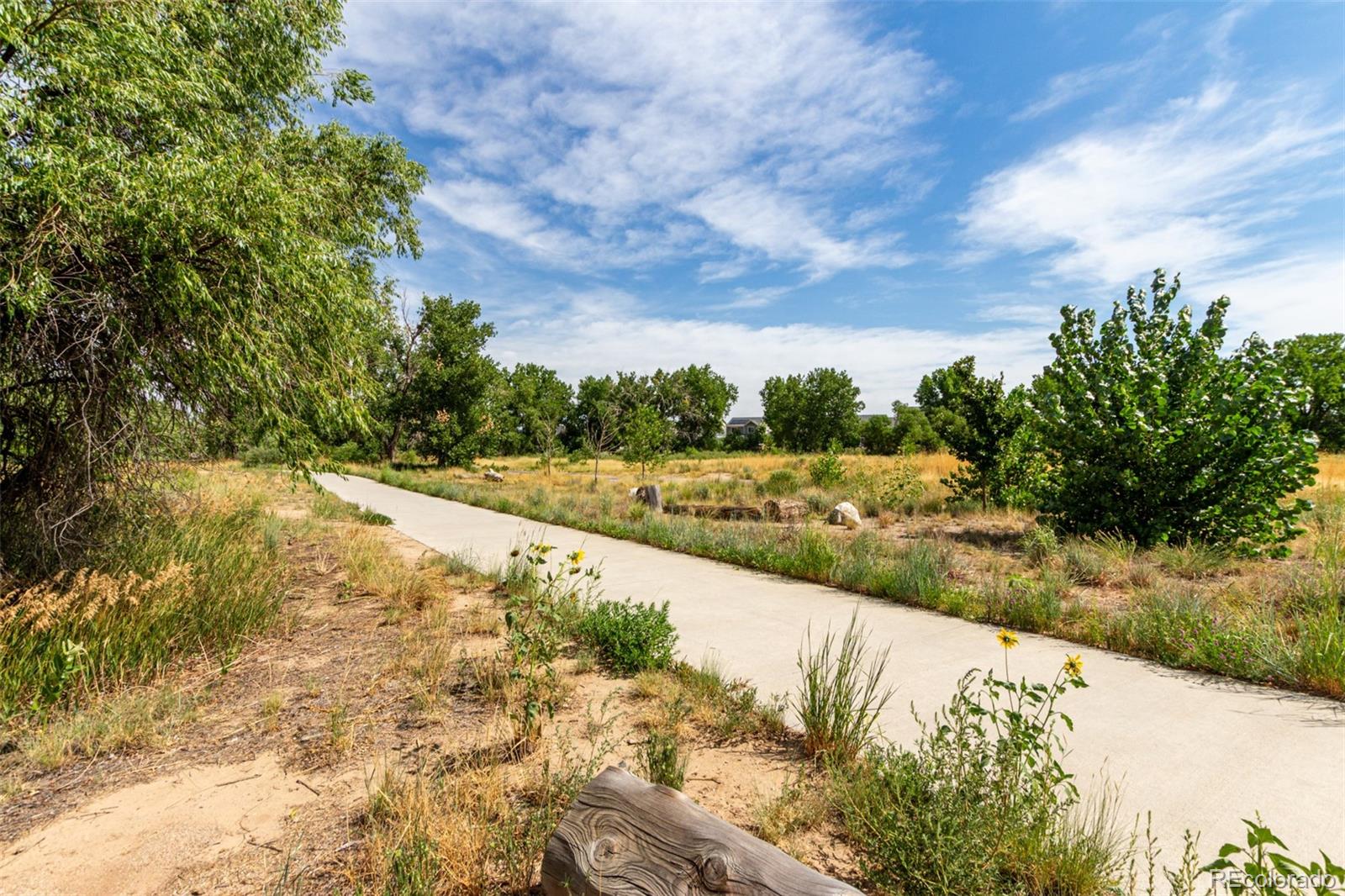 MLS Image #19 for 18703 e 54th avenue,denver, Colorado
