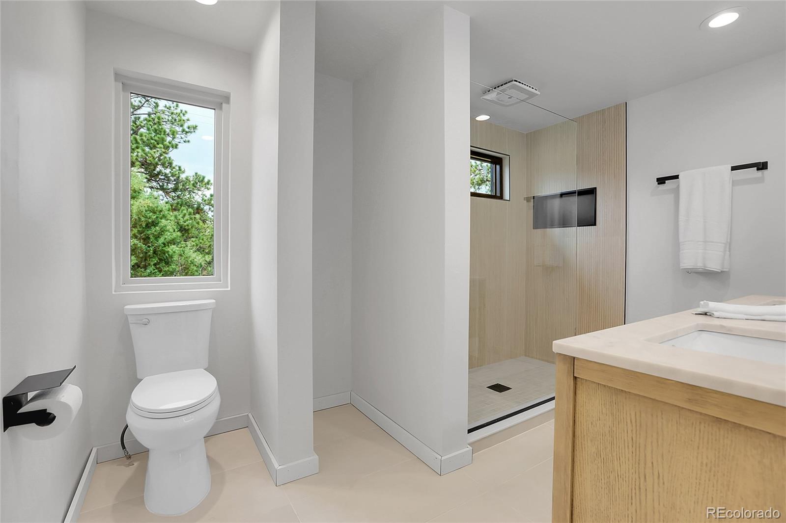 MLS Image #19 for 14034 s wandcrest drive,pine, Colorado