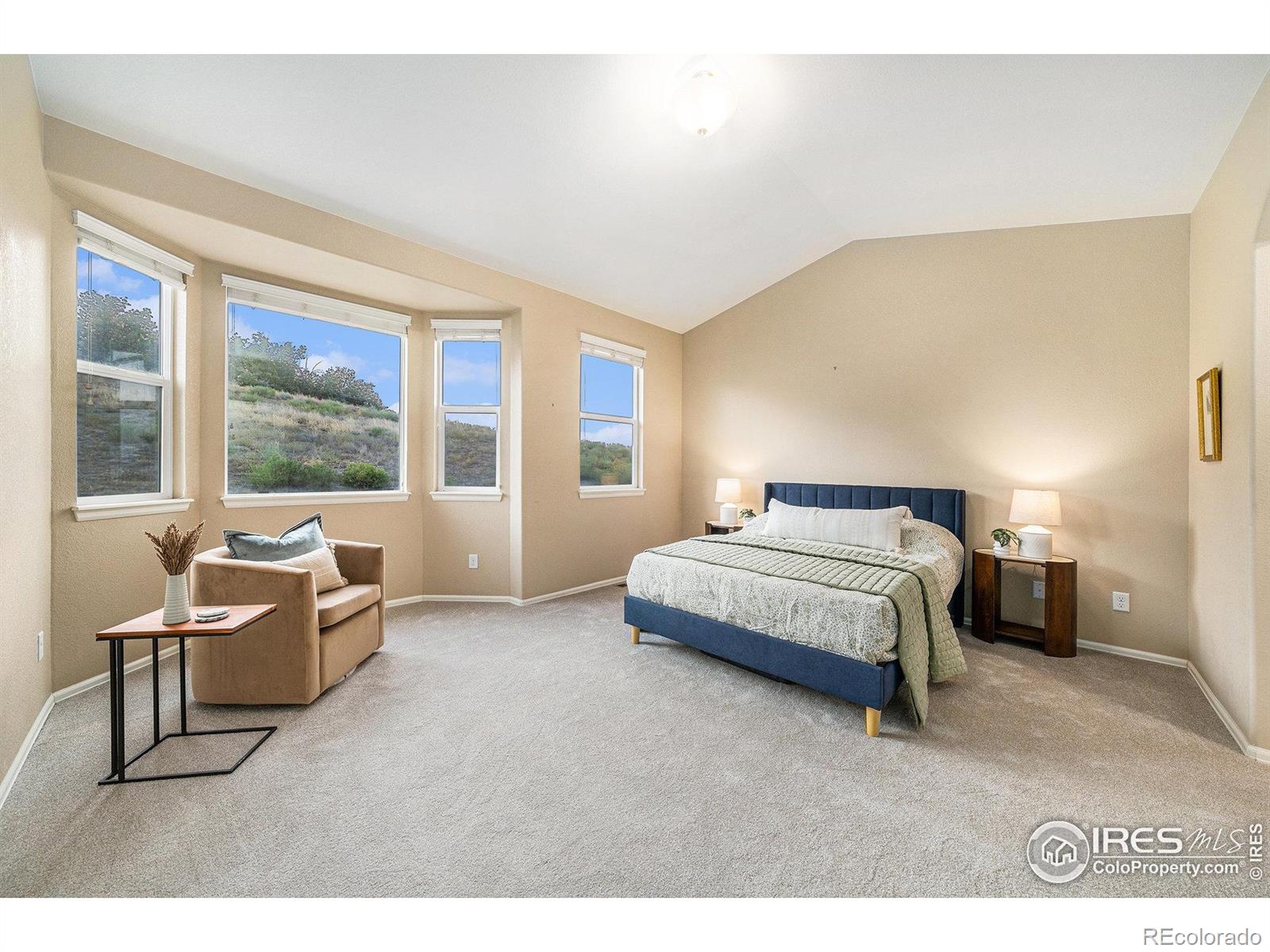 MLS Image #19 for 2136  longfin drive,windsor, Colorado