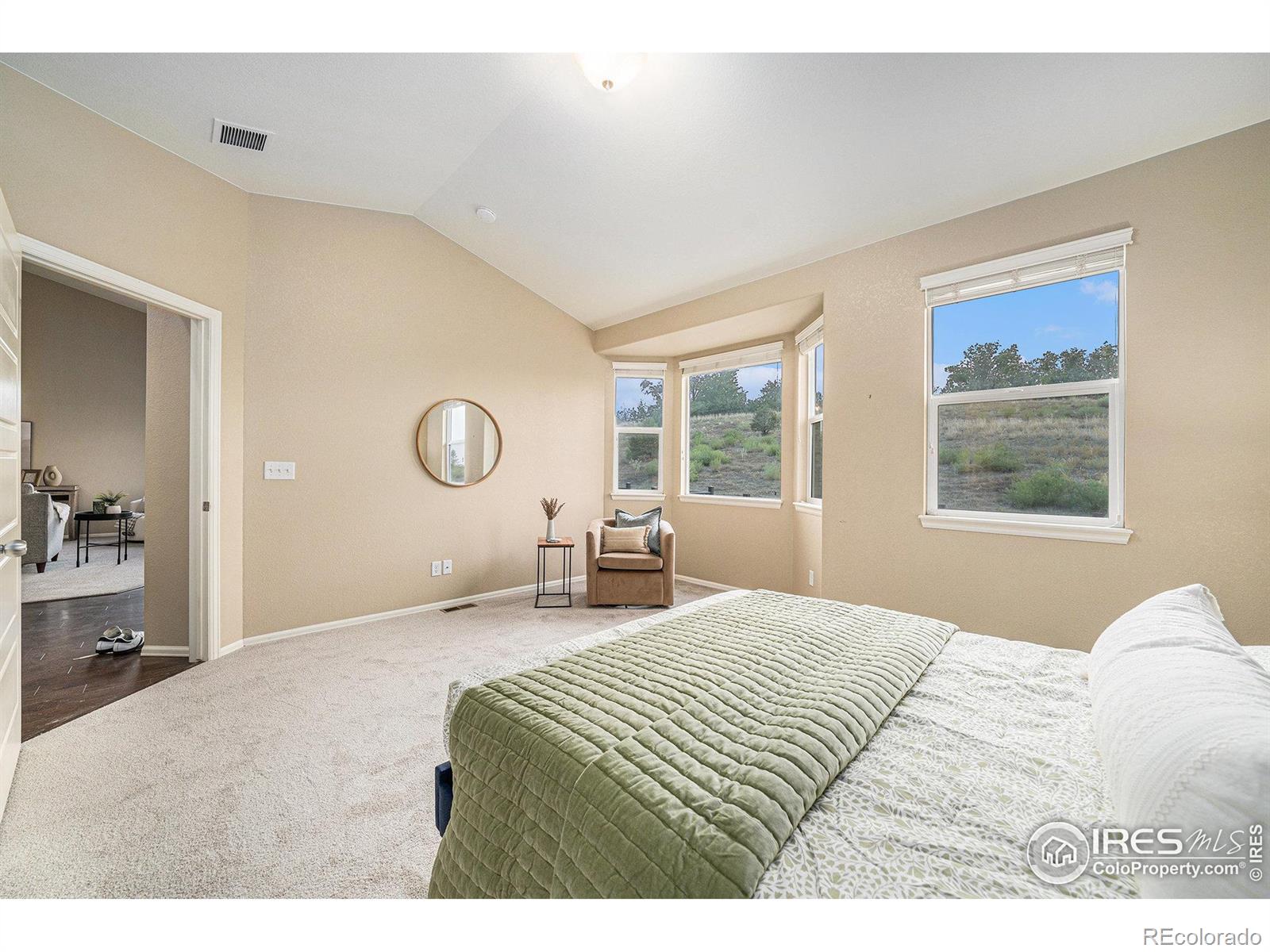 MLS Image #21 for 2136  longfin drive,windsor, Colorado