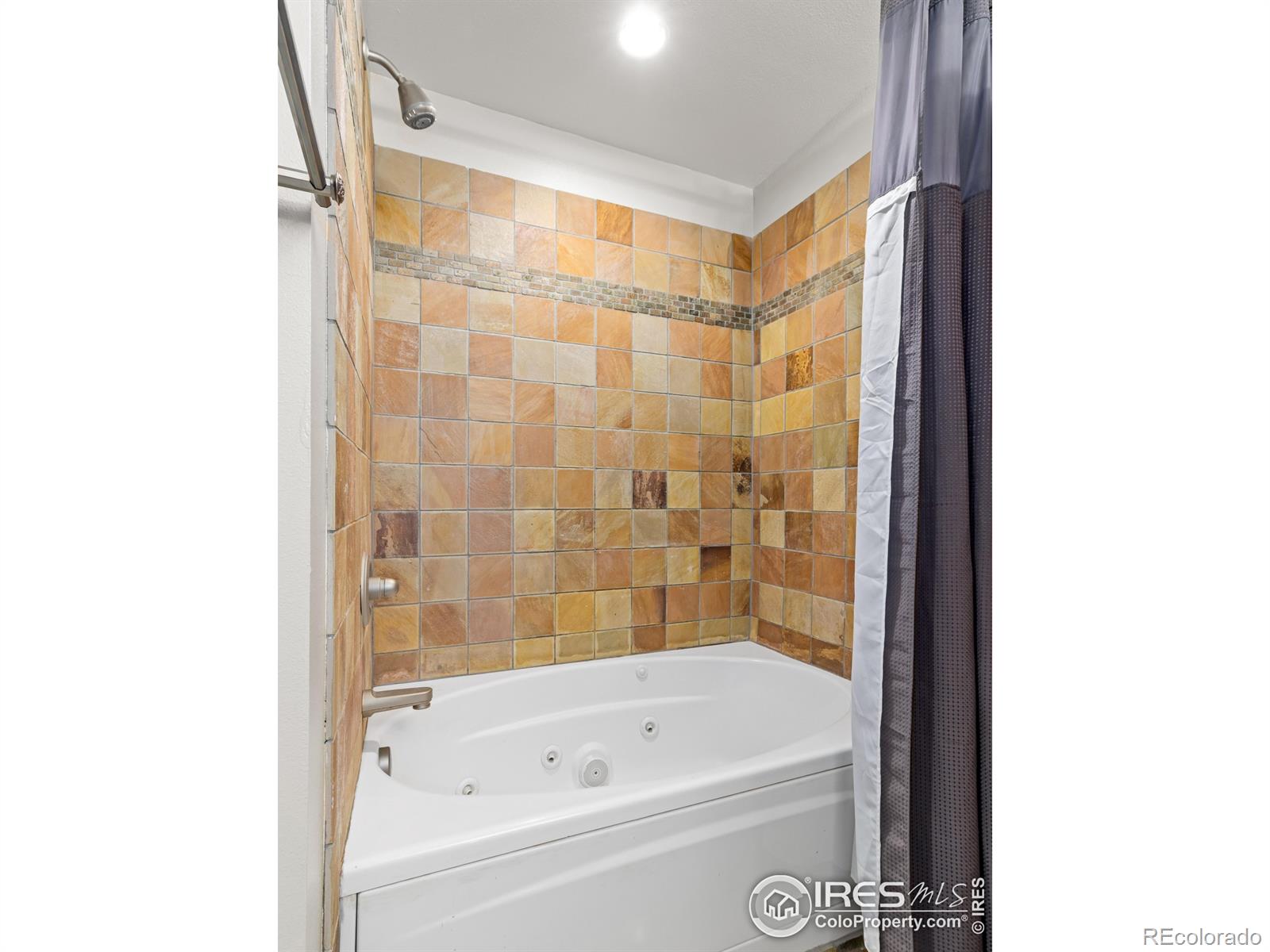 MLS Image #14 for 170 w elkhorn avenue,estes park, Colorado