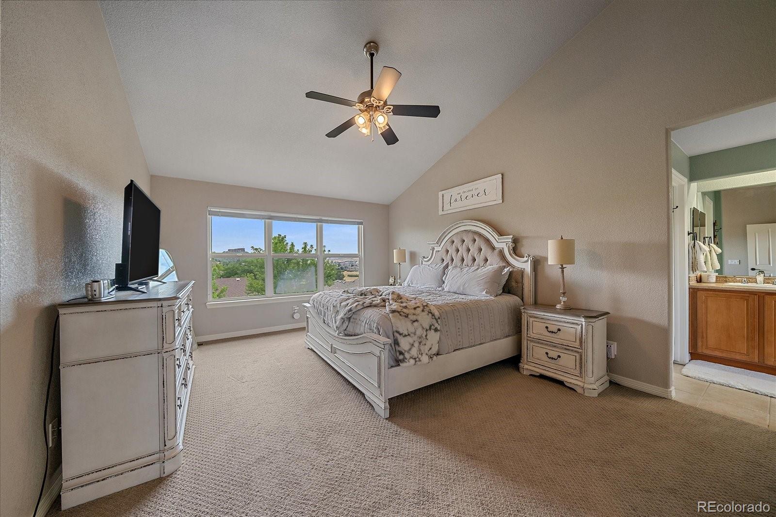 MLS Image #17 for 832  tarpan place,castle rock, Colorado