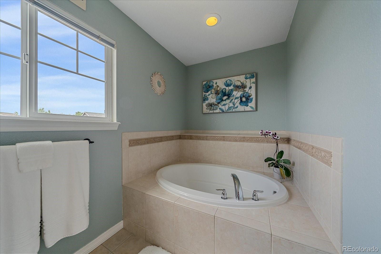 MLS Image #20 for 832  tarpan place,castle rock, Colorado