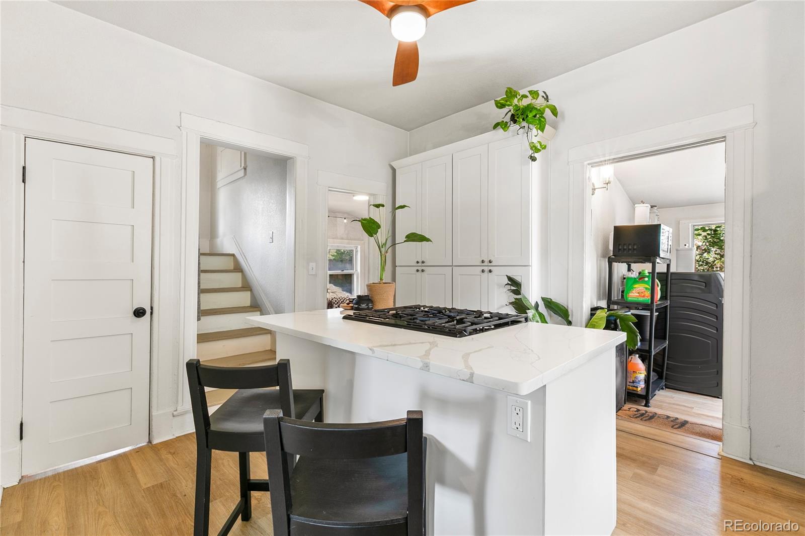 MLS Image #10 for 850 e san miguel street,colorado springs, Colorado