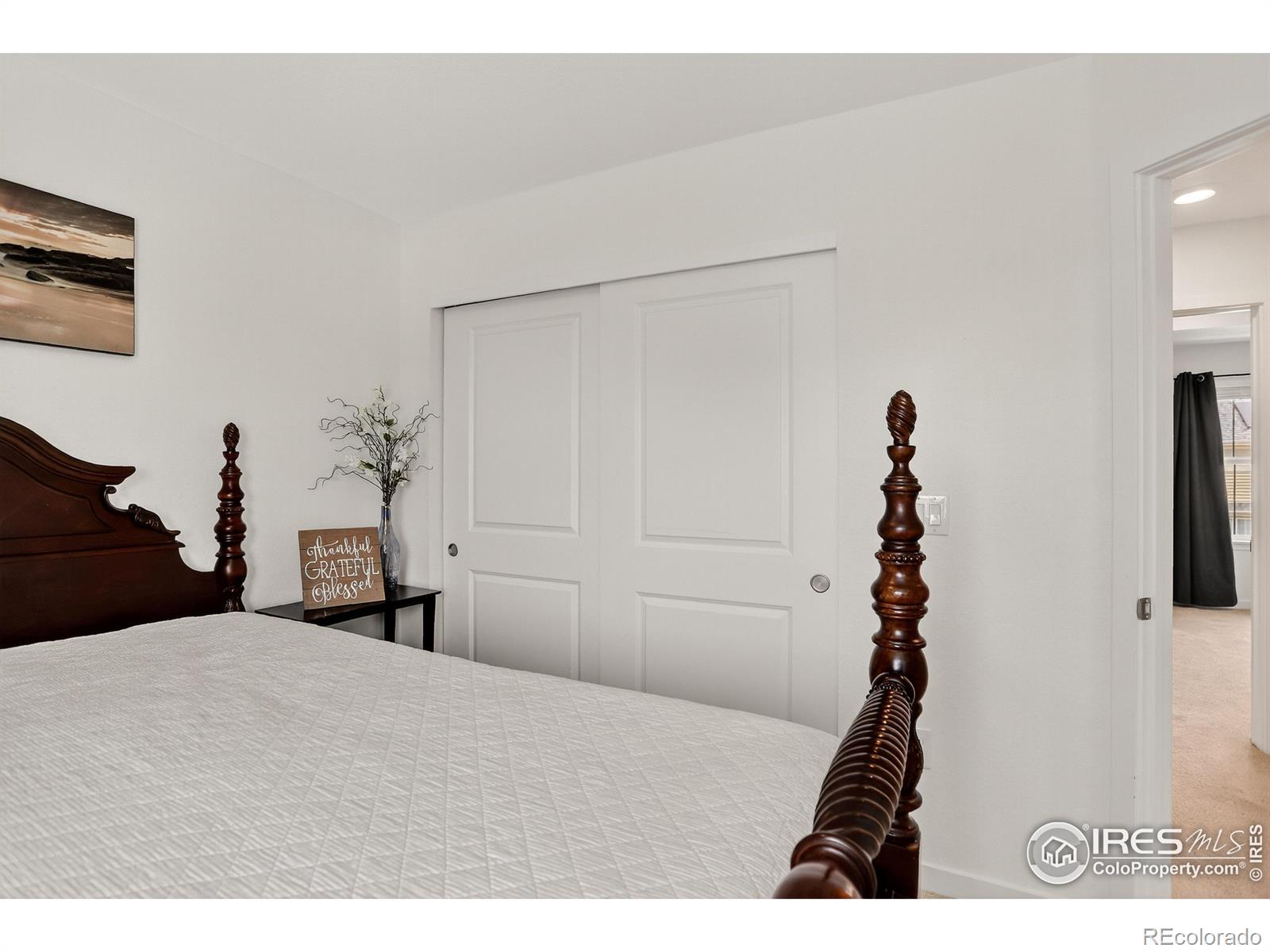 MLS Image #21 for 599  greenville alley,erie, Colorado