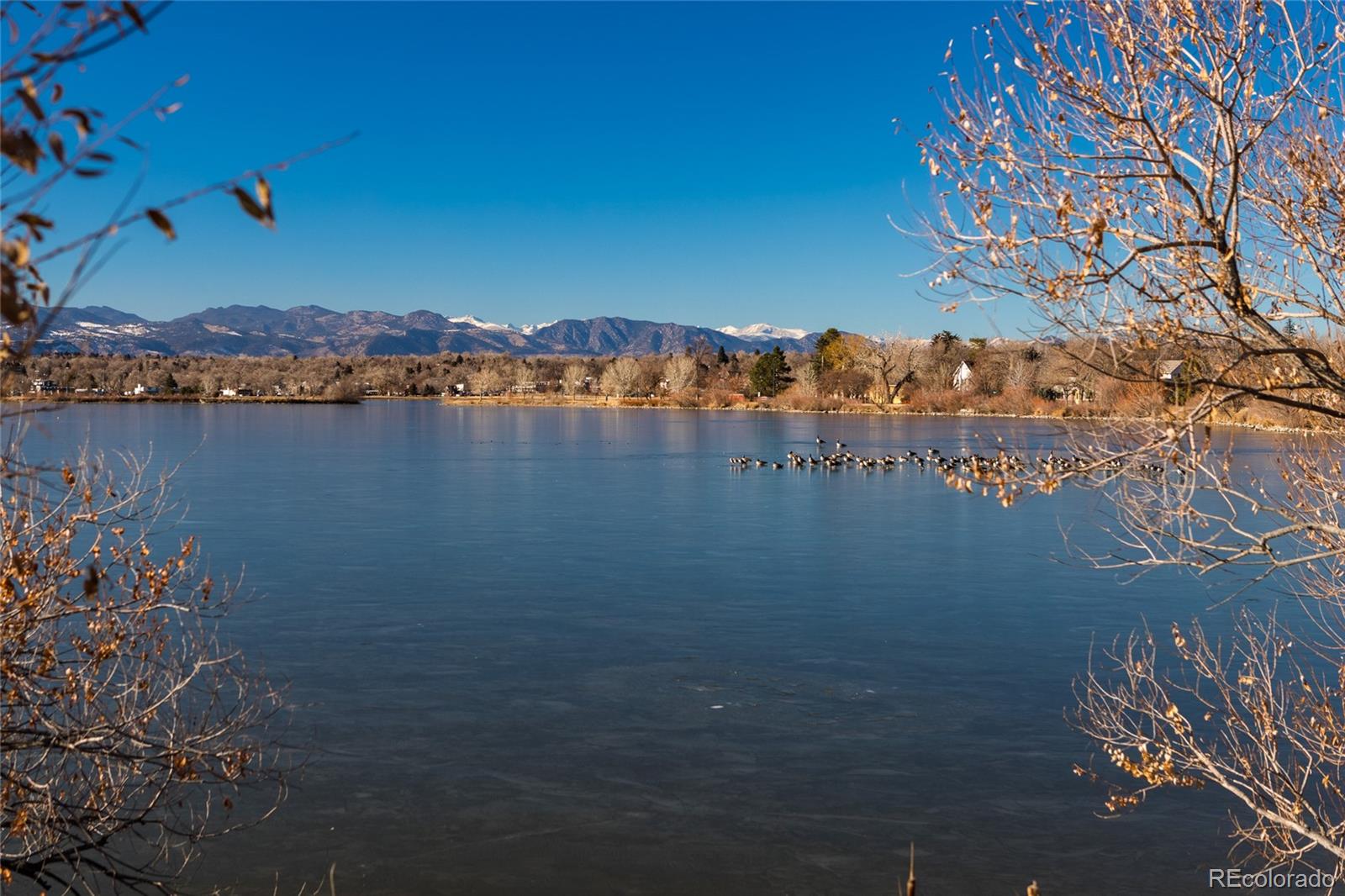 MLS Image #8 for 1536  osceola street,denver, Colorado