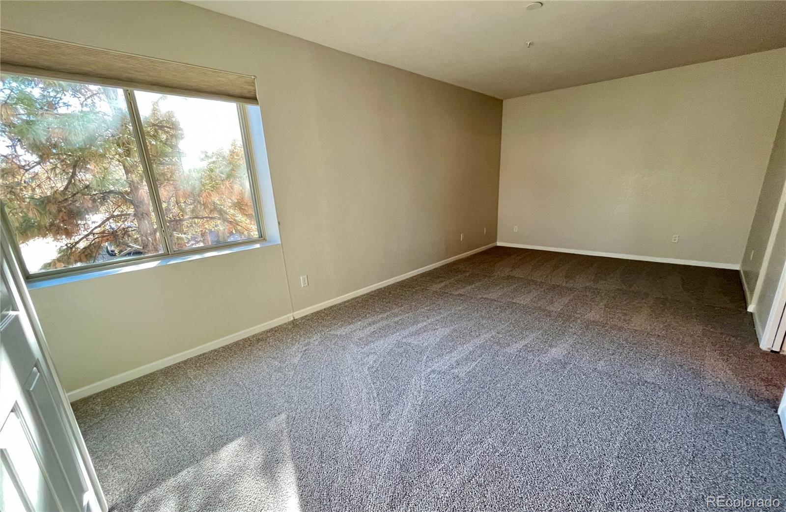 MLS Image #8 for 2451  kipling street,lakewood, Colorado
