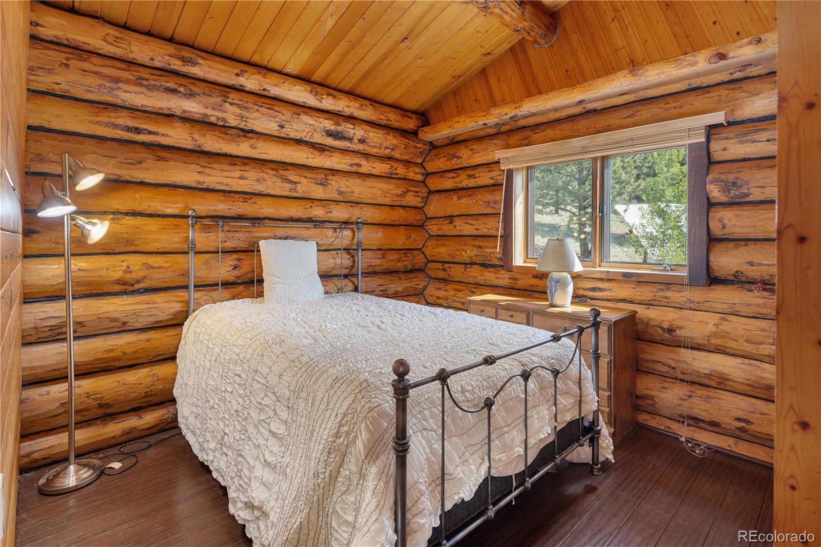 MLS Image #11 for 127  al gulch court,jefferson, Colorado