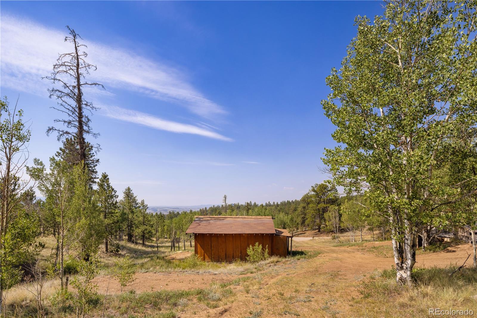 MLS Image #28 for 127  al gulch court,jefferson, Colorado