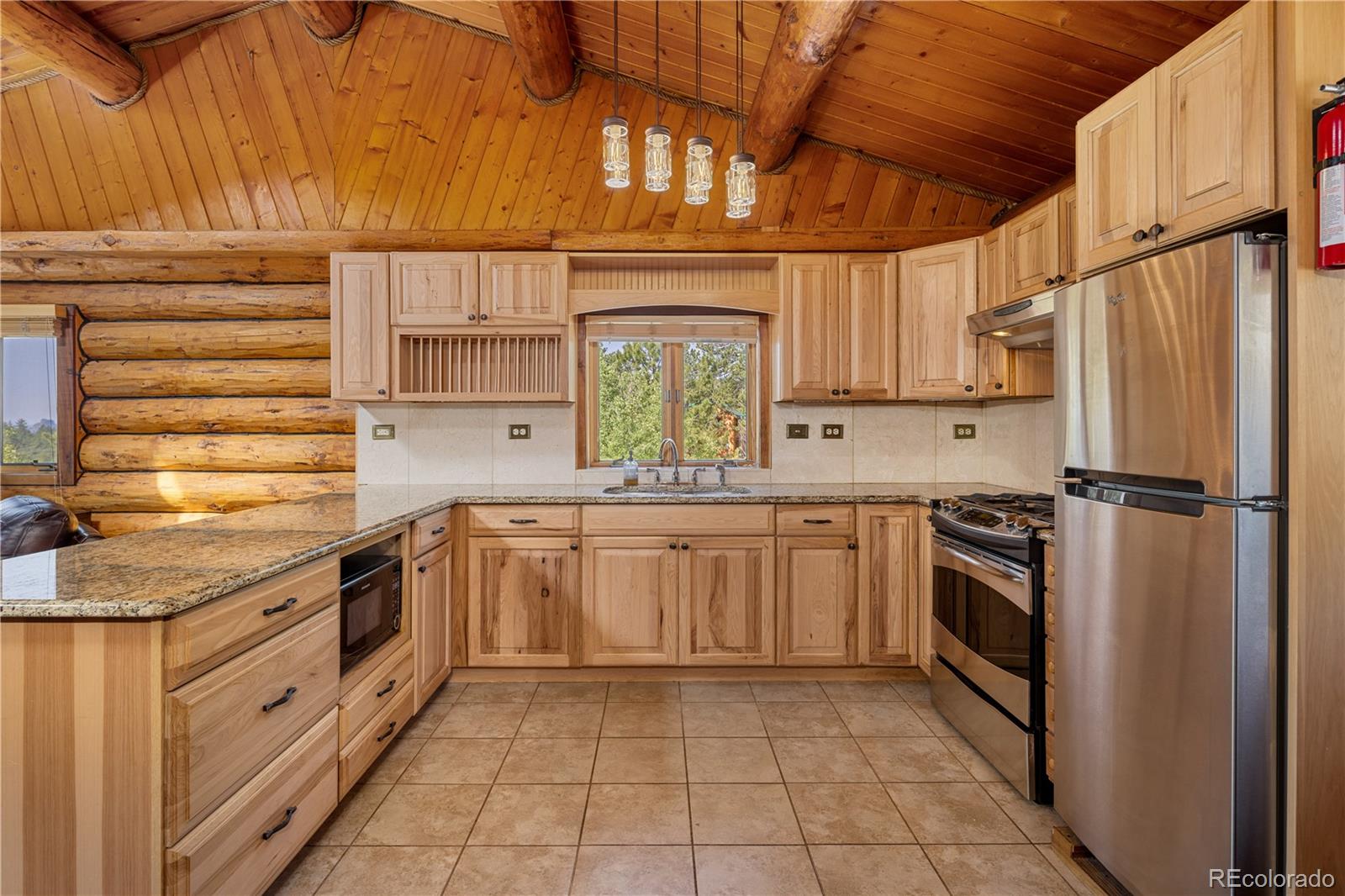 MLS Image #6 for 127  al gulch court,jefferson, Colorado