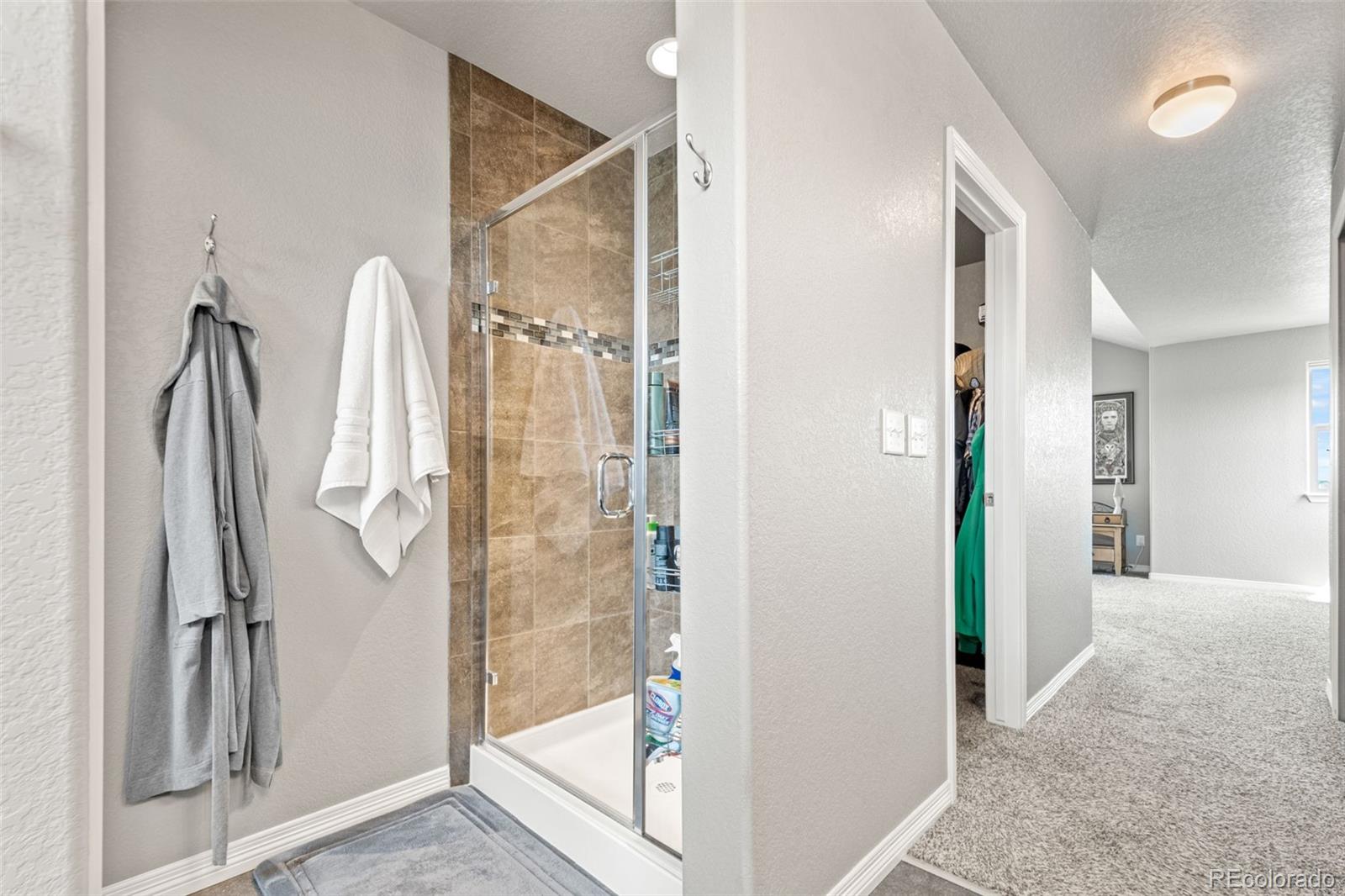 MLS Image #23 for 2431  nicholson street,berthoud, Colorado