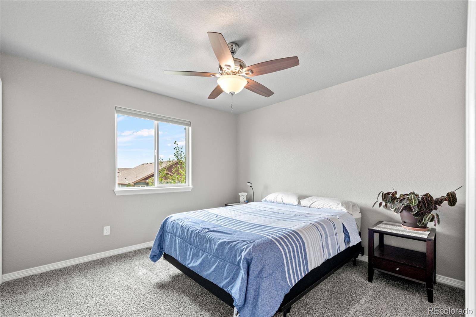 MLS Image #27 for 2431  nicholson street,berthoud, Colorado