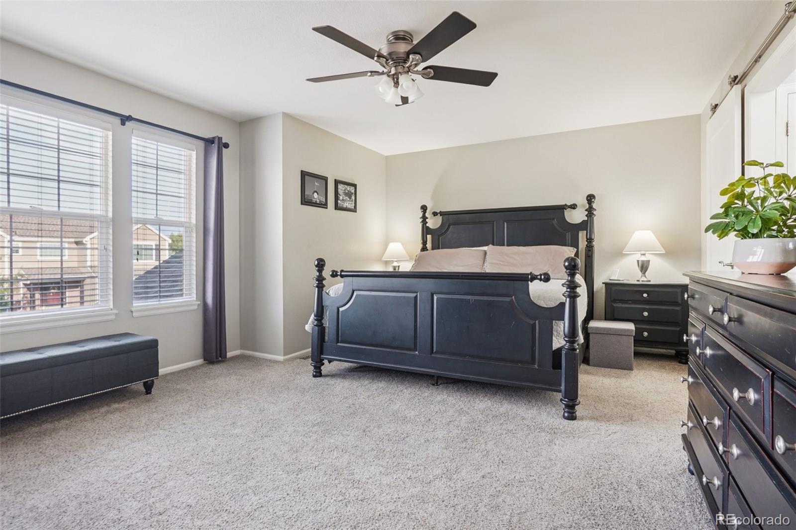 MLS Image #16 for 1993  mountain maple avenue,highlands ranch, Colorado