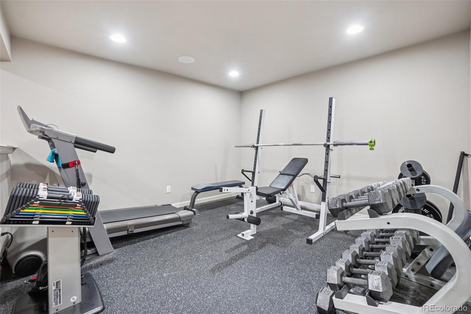 MLS Image #30 for 1993  mountain maple avenue,highlands ranch, Colorado