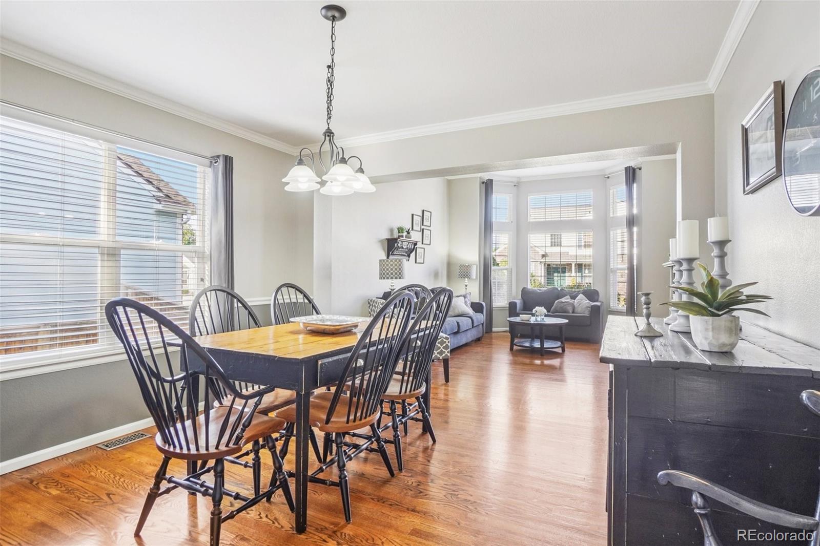 MLS Image #6 for 1993  mountain maple avenue,highlands ranch, Colorado