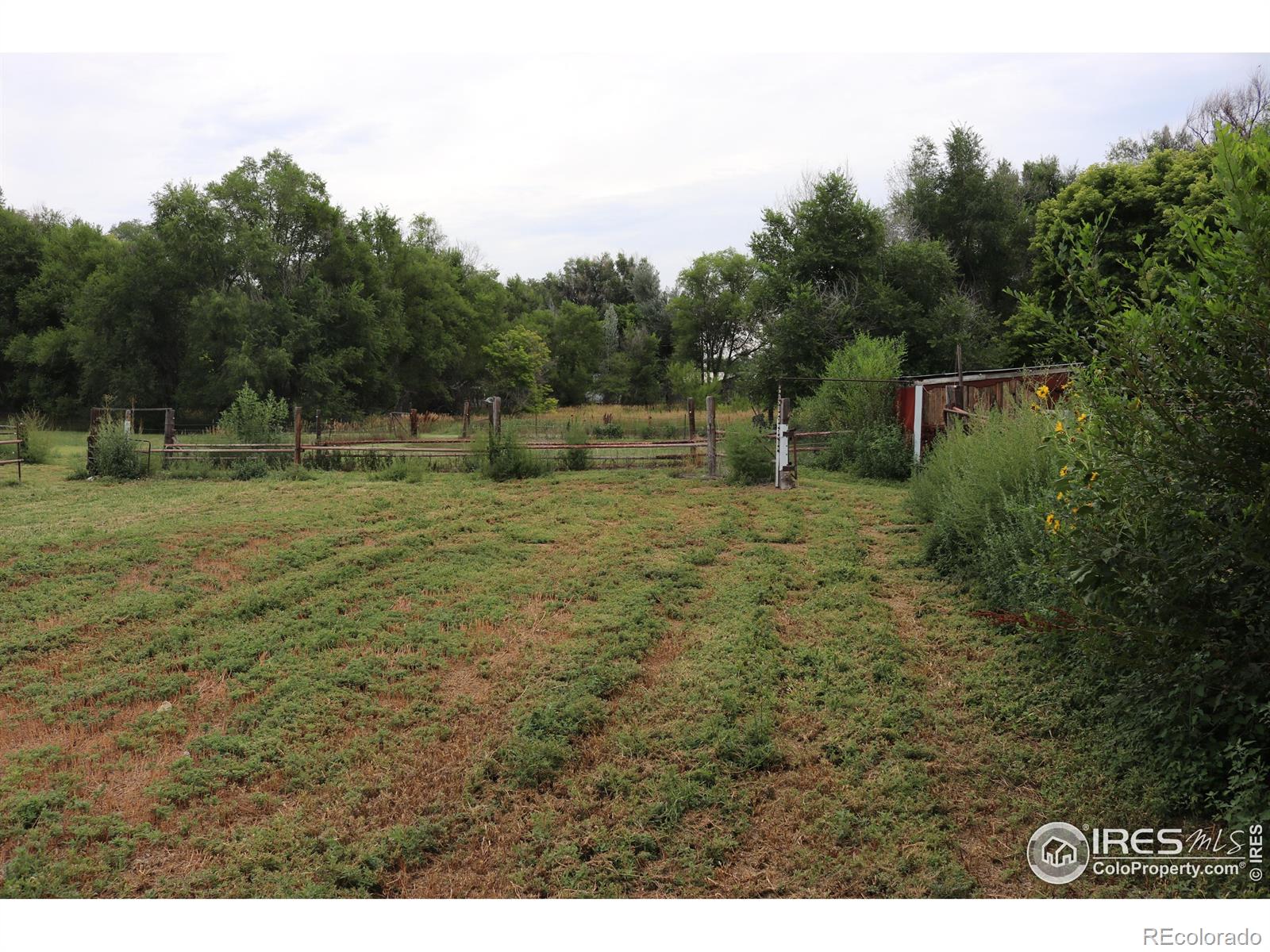 MLS Image #16 for 2235  5th street,greeley, Colorado