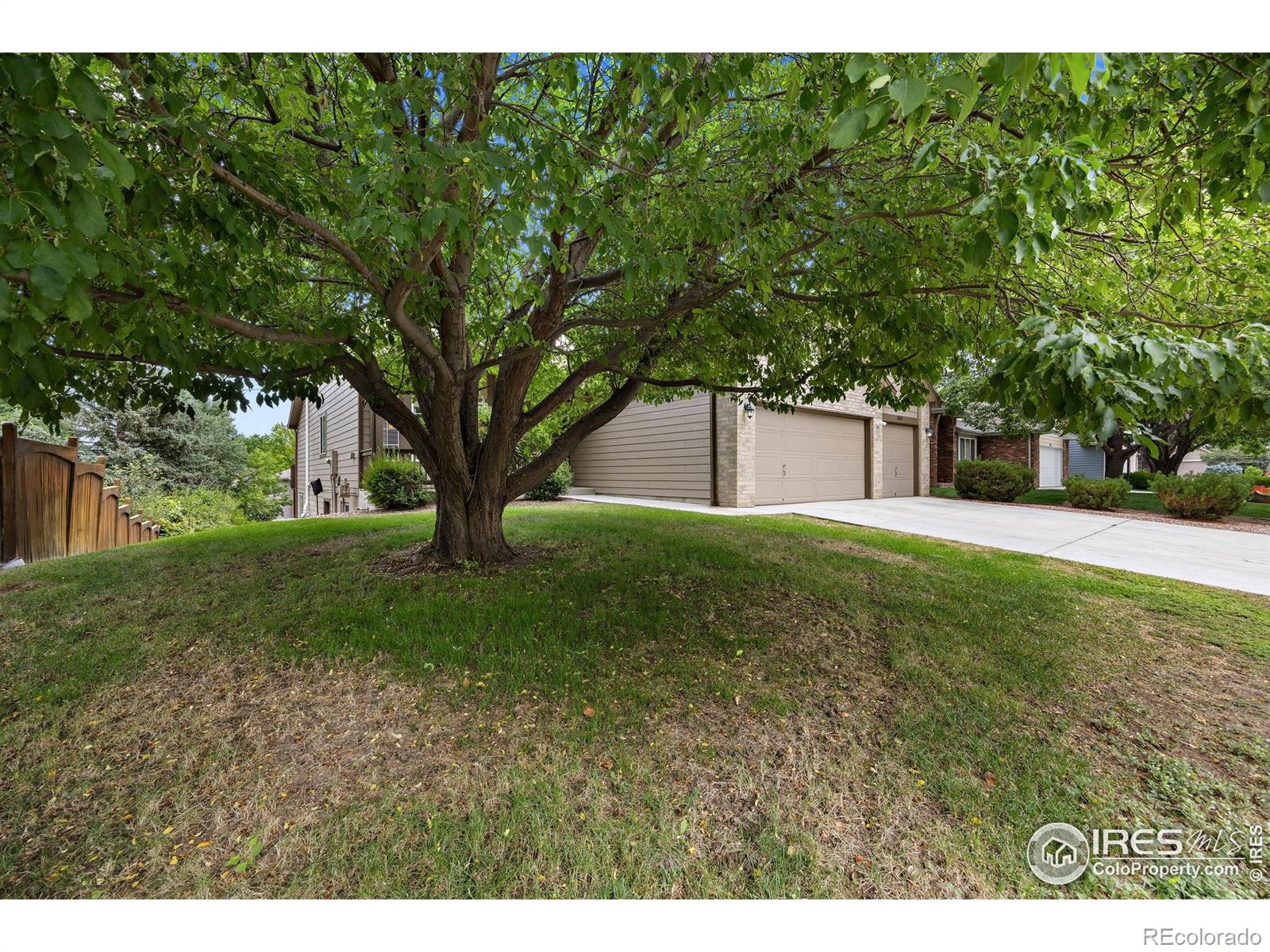MLS Image #14 for 530  holyoke court,fort collins, Colorado