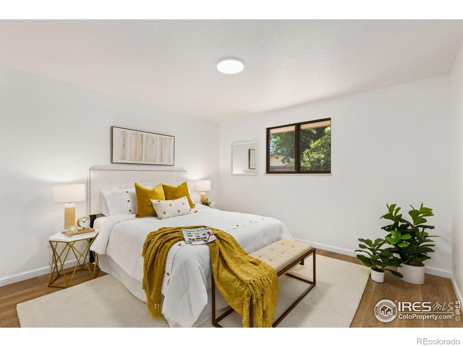 MLS Image #10 for 506  mount evans street,longmont, Colorado