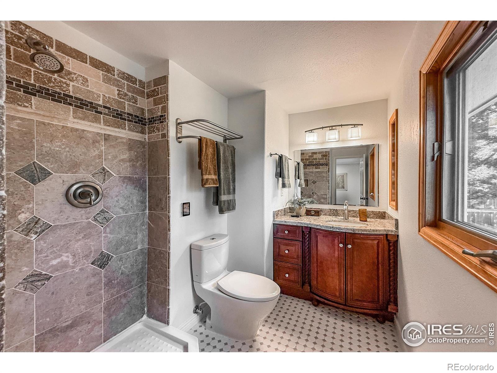 MLS Image #19 for 1536 s terry street,longmont, Colorado