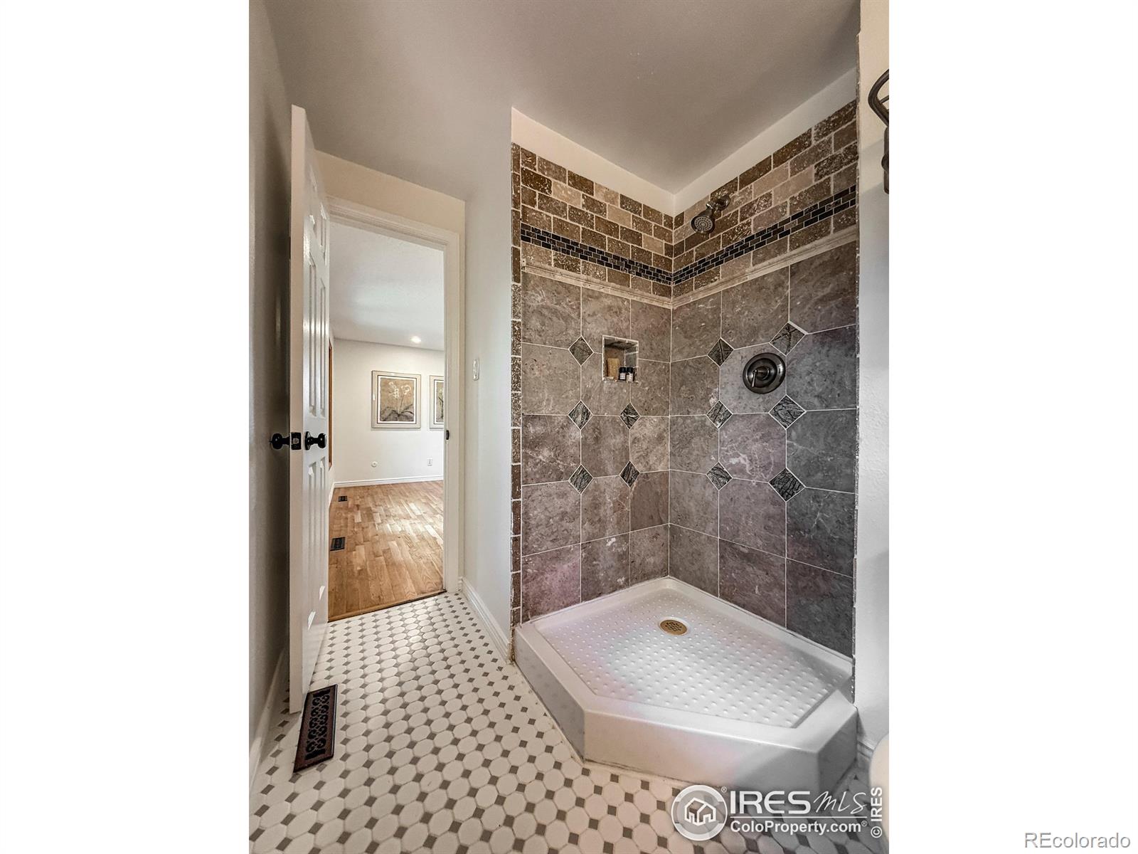 MLS Image #20 for 1536 s terry street,longmont, Colorado