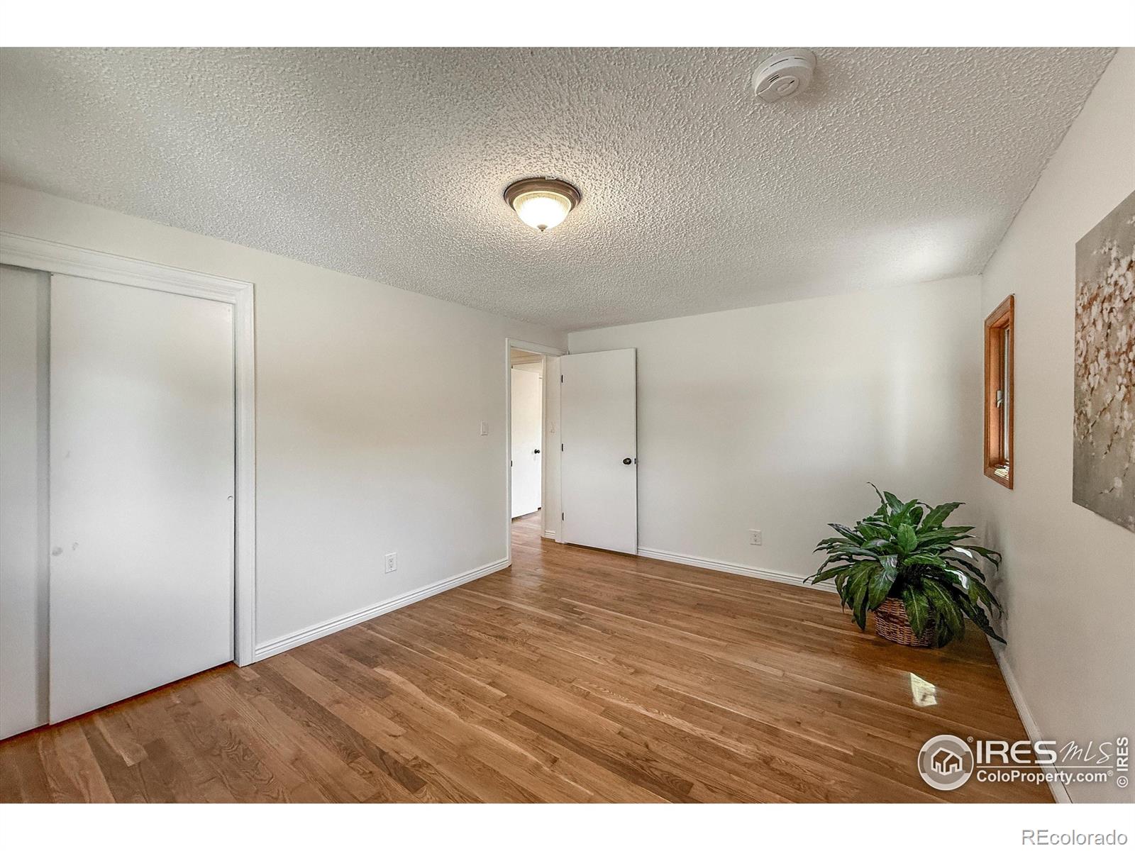 MLS Image #22 for 1536 s terry street,longmont, Colorado