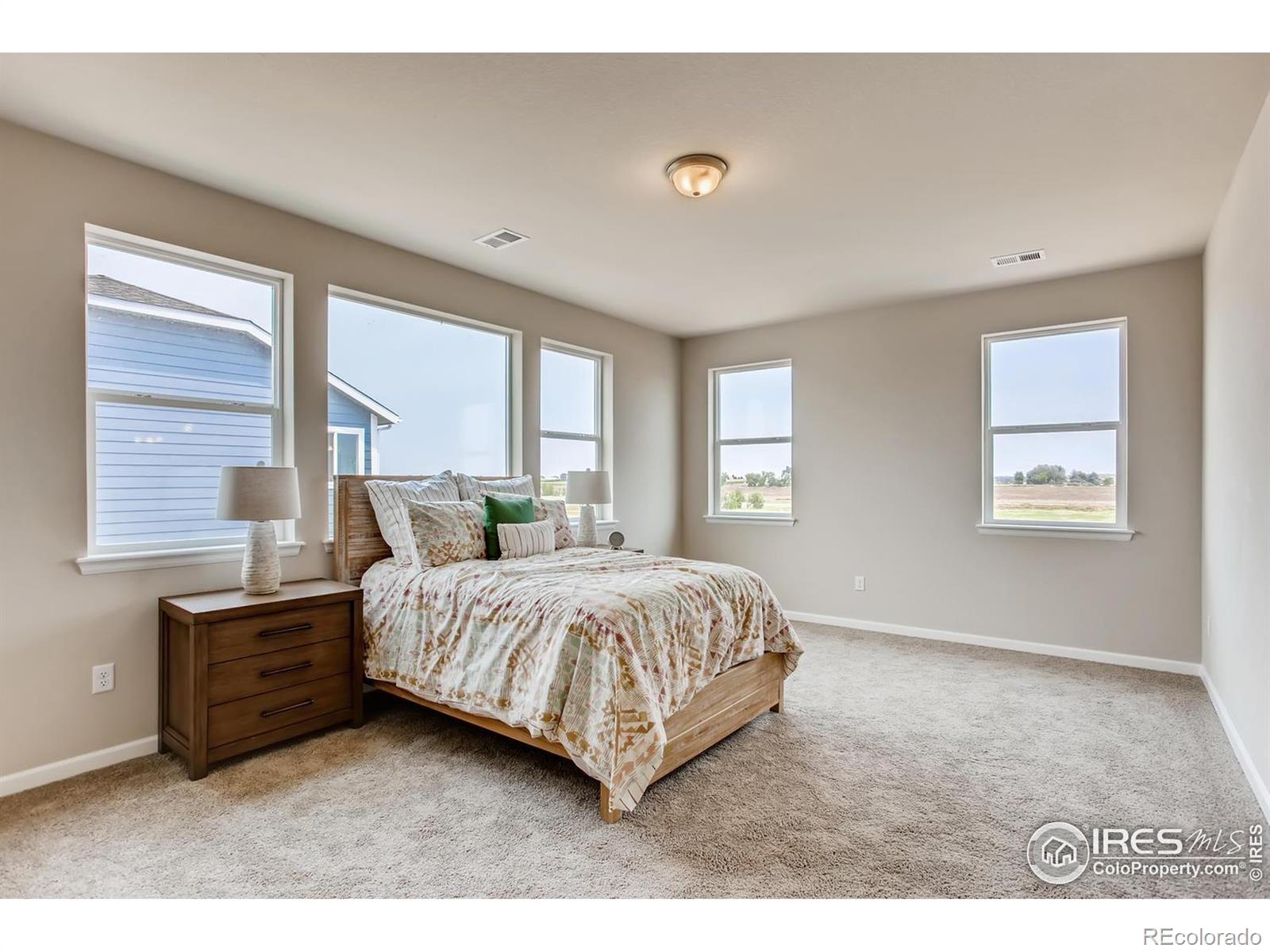 MLS Image #11 for 2718  crystal springs lane,longmont, Colorado