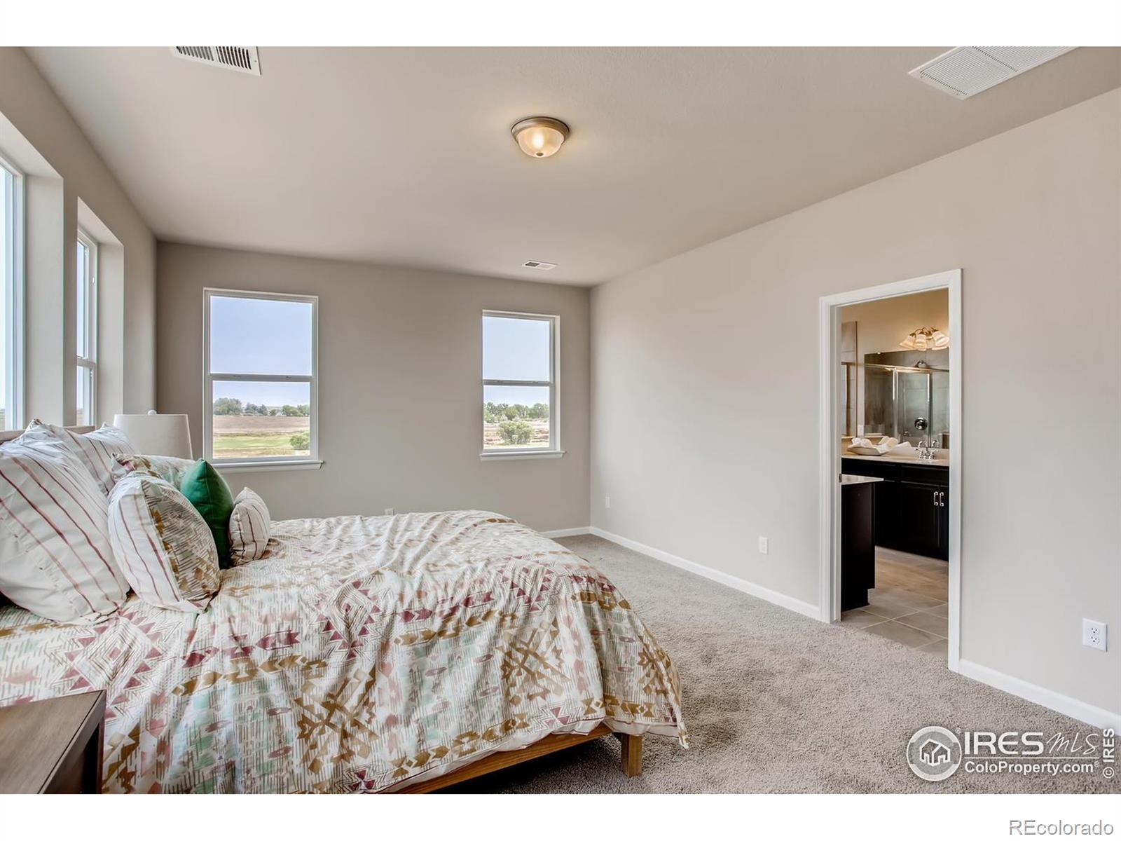 MLS Image #12 for 2718  crystal springs lane,longmont, Colorado