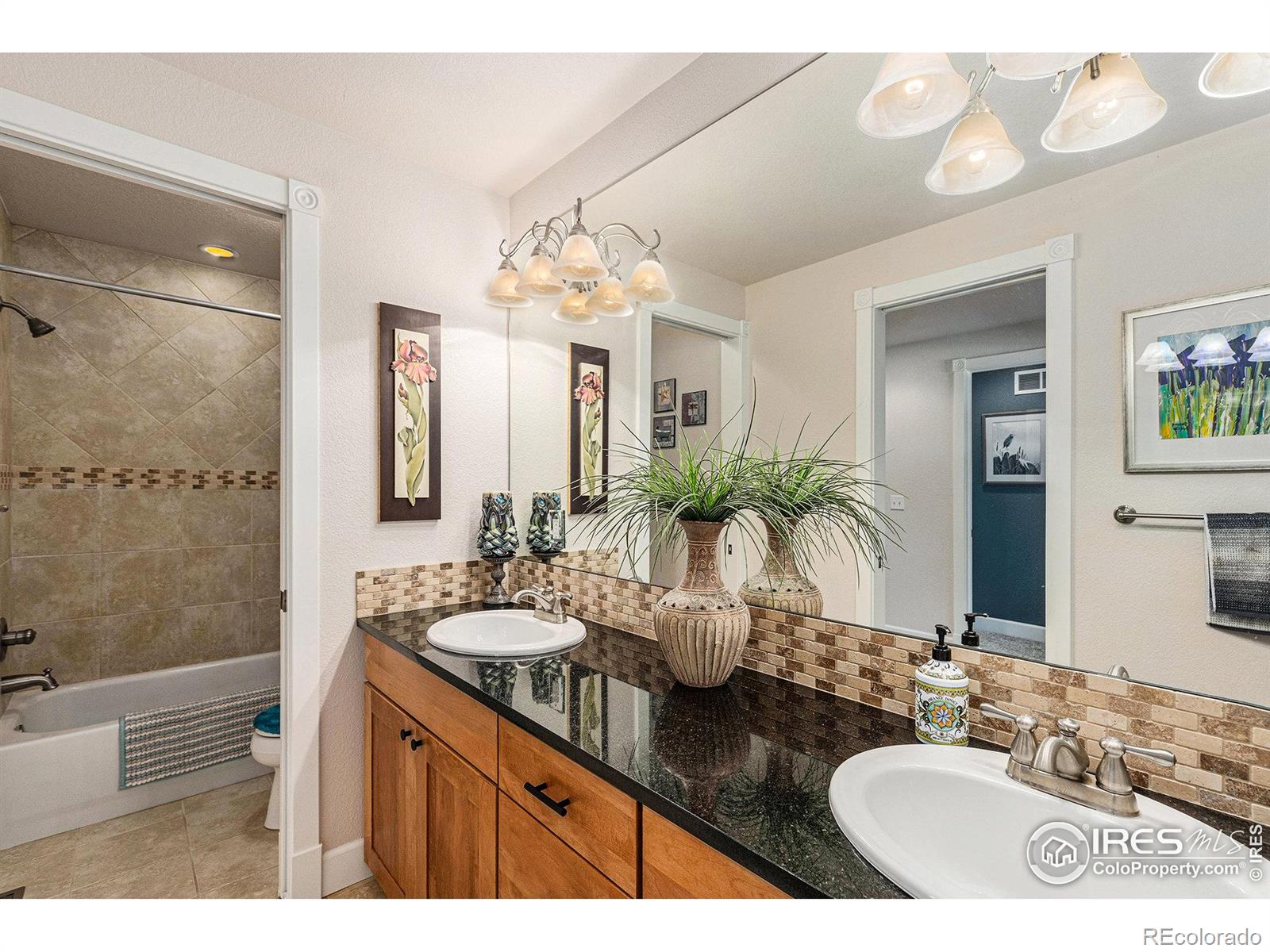 MLS Image #19 for 30909 e 150th avenue,brighton, Colorado