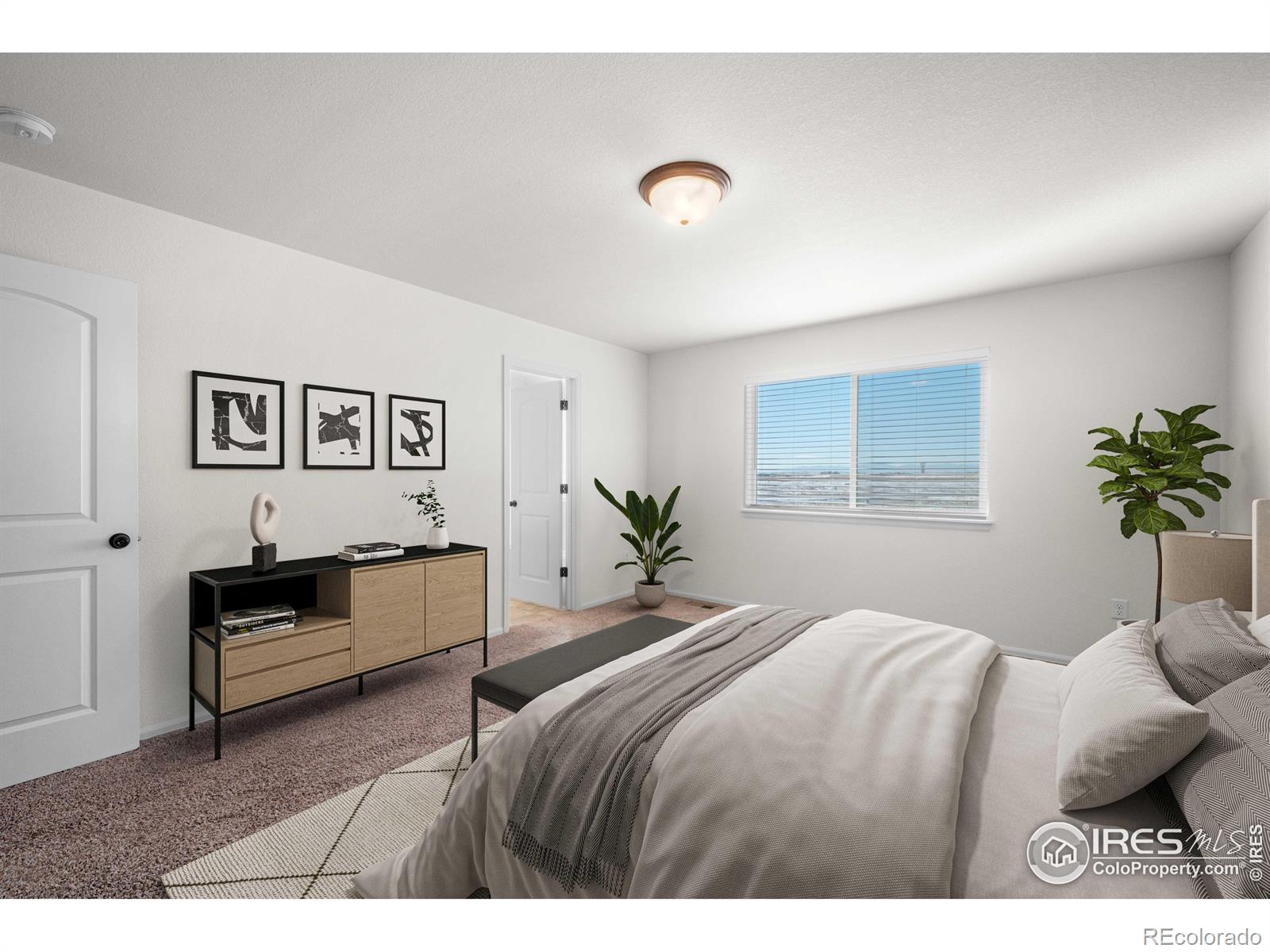 MLS Image #19 for 1781  long shadow drive,windsor, Colorado