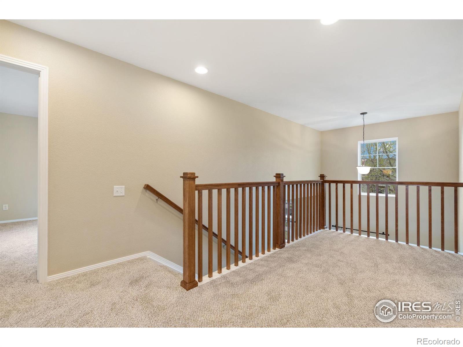 MLS Image #22 for 2626  autumn harvest way,fort collins, Colorado