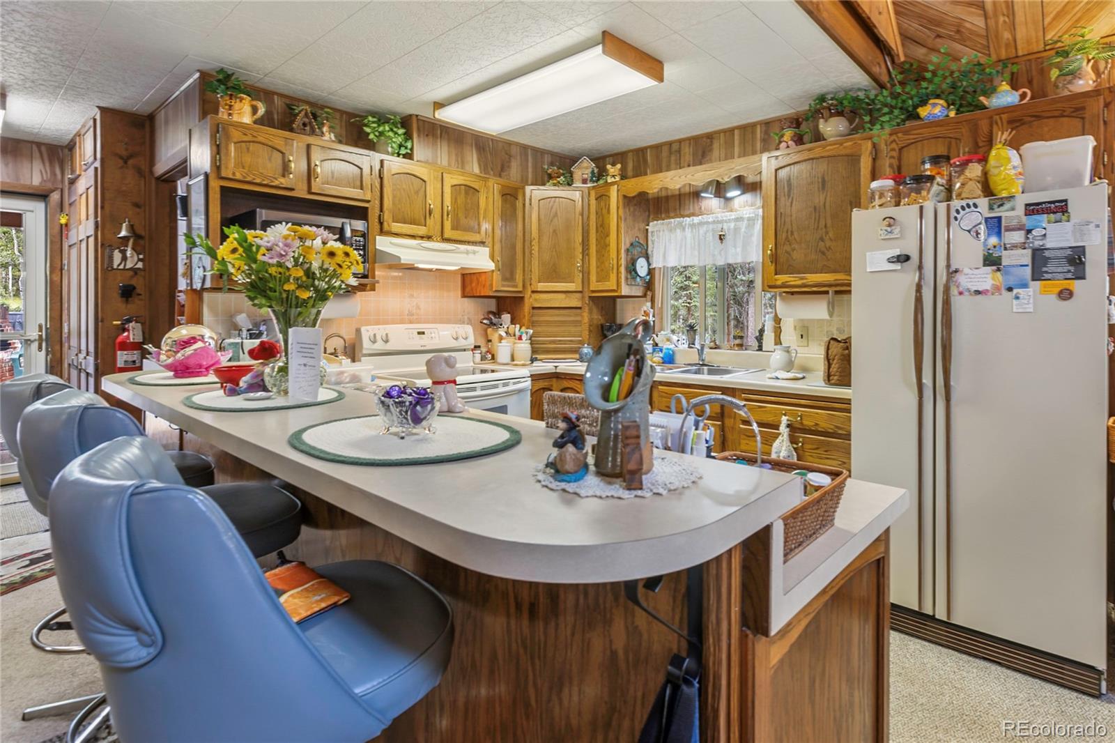 MLS Image #13 for 47  kayfa court,florissant, Colorado