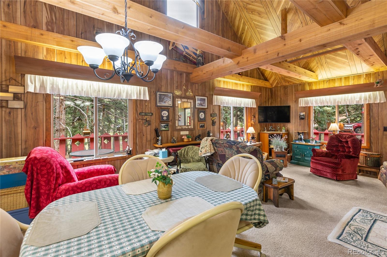 MLS Image #16 for 47  kayfa court,florissant, Colorado