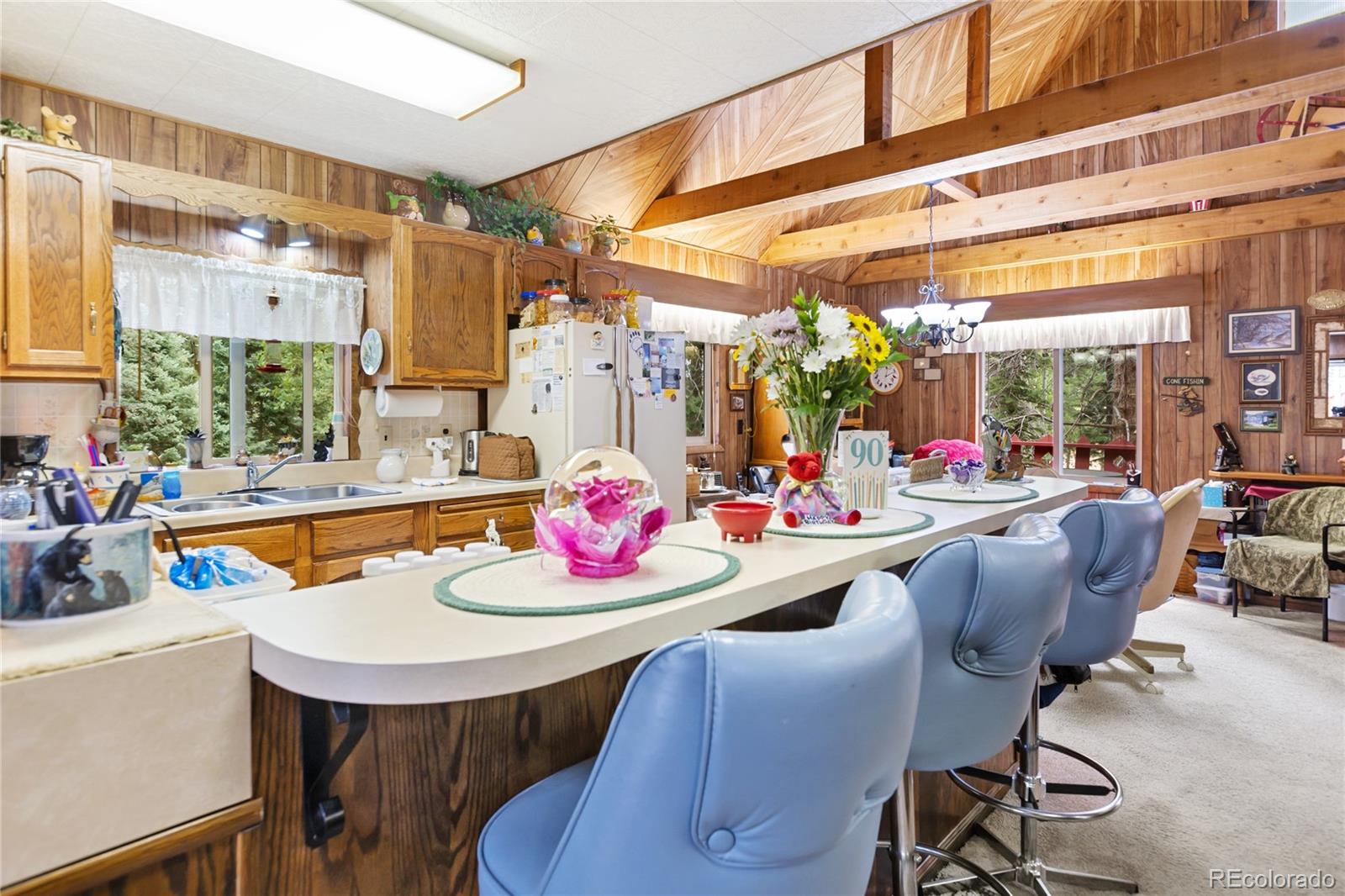 MLS Image #18 for 47  kayfa court,florissant, Colorado