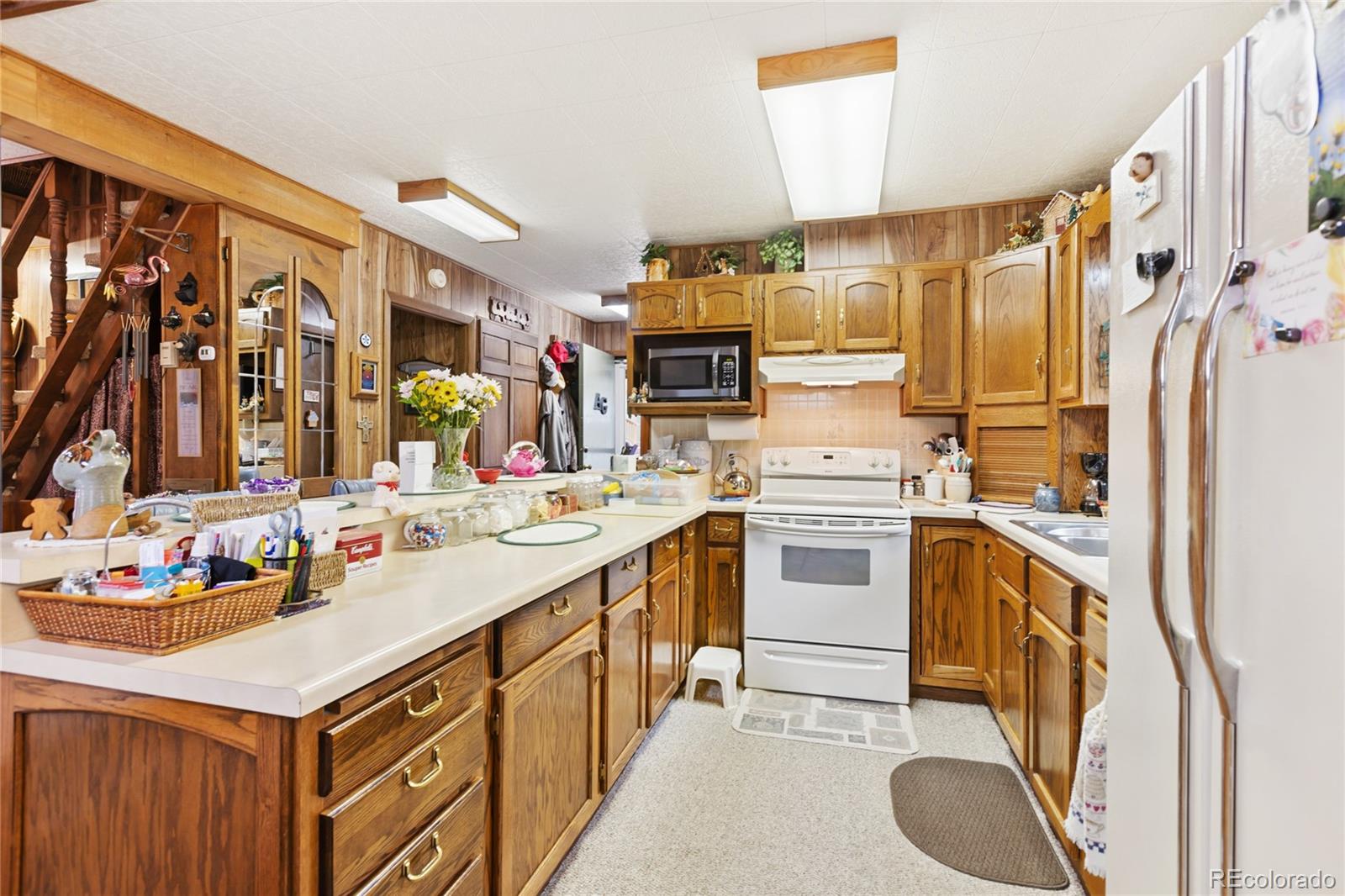 MLS Image #21 for 47  kayfa court,florissant, Colorado