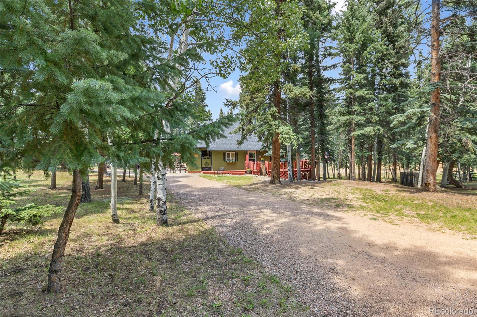 MLS Image #3 for 47  kayfa court,florissant, Colorado