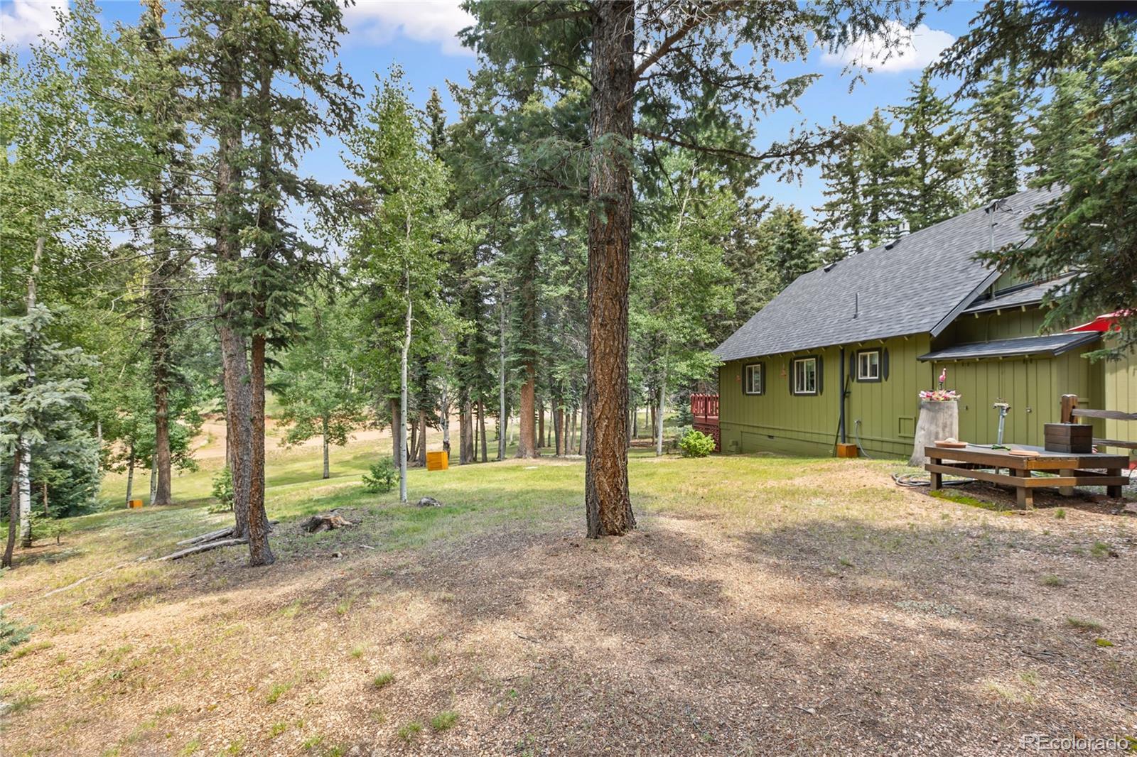MLS Image #36 for 47  kayfa court,florissant, Colorado