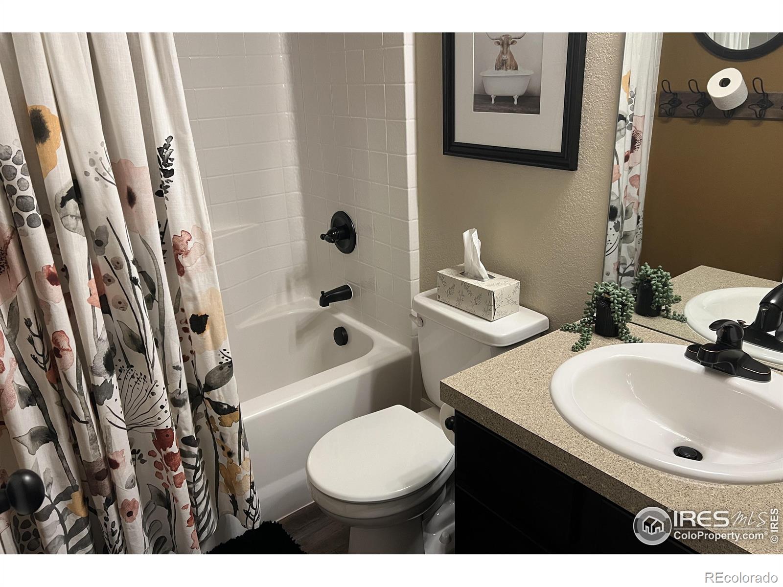 MLS Image #5 for 2150  mackinac street,fort collins, Colorado
