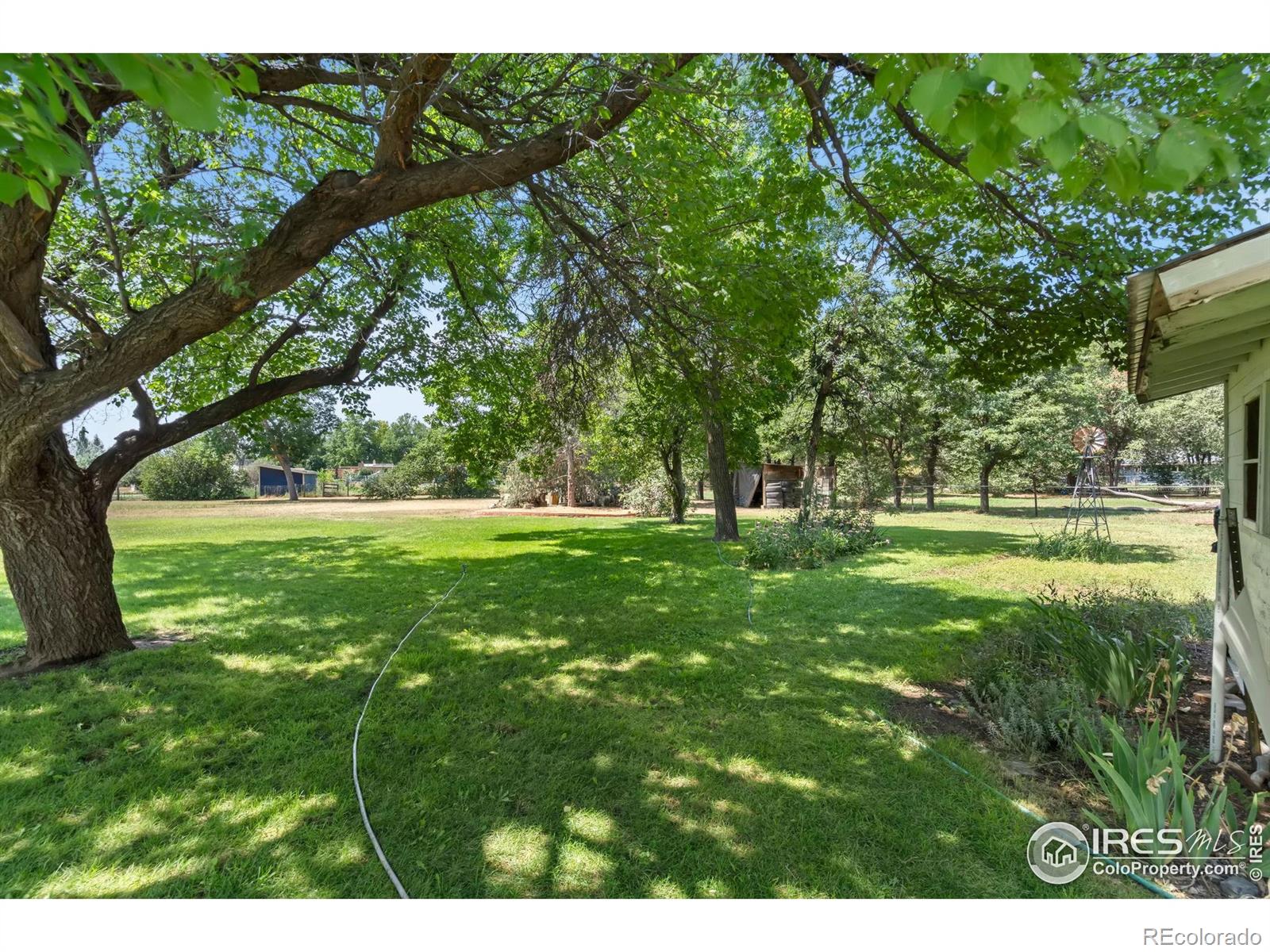 MLS Image #11 for 2941  pleasant acres drive,fort collins, Colorado