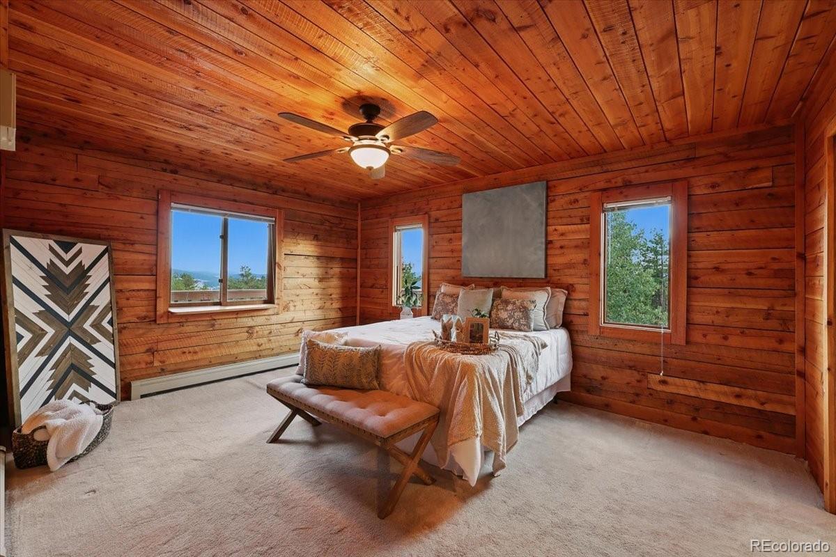 MLS Image #10 for 1721  wildhorn road,florissant, Colorado