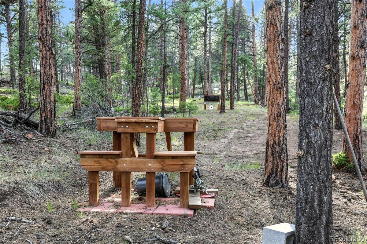 MLS Image #46 for 1721  wildhorn road,florissant, Colorado