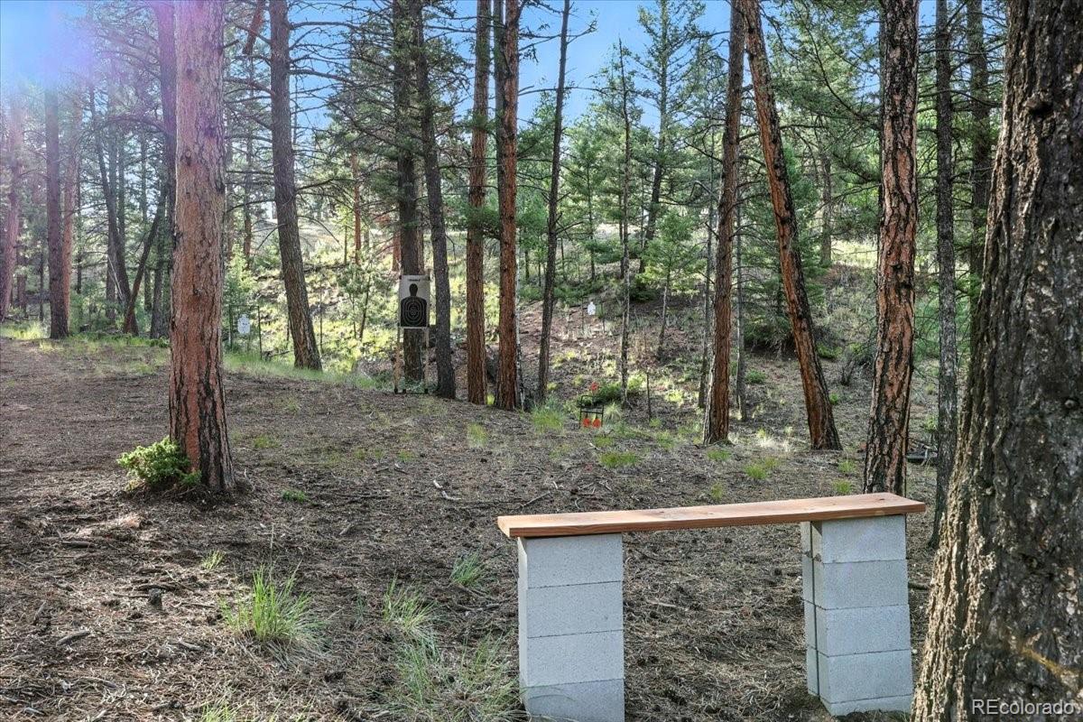 MLS Image #47 for 1721  wildhorn road,florissant, Colorado
