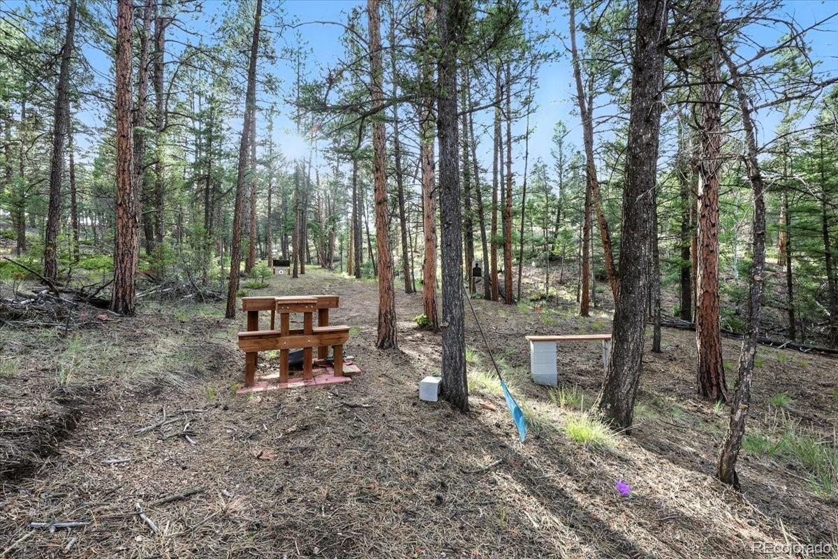 MLS Image #48 for 1721  wildhorn road,florissant, Colorado