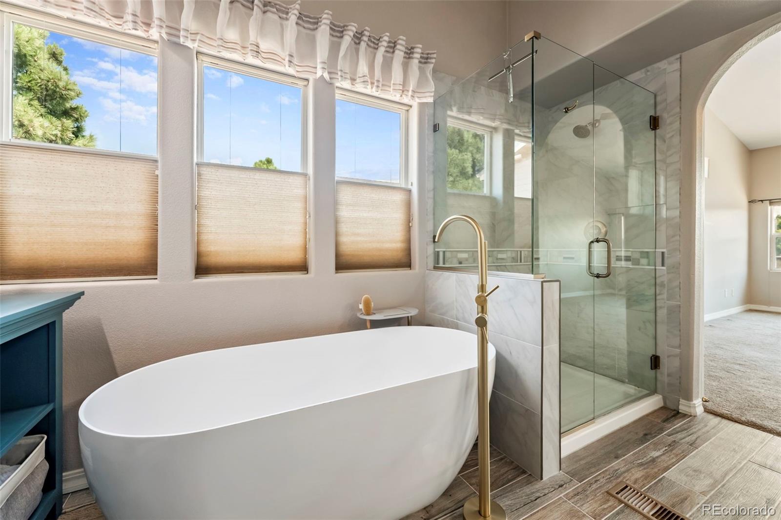 MLS Image #16 for 4445  sable ridge court,colorado springs, Colorado